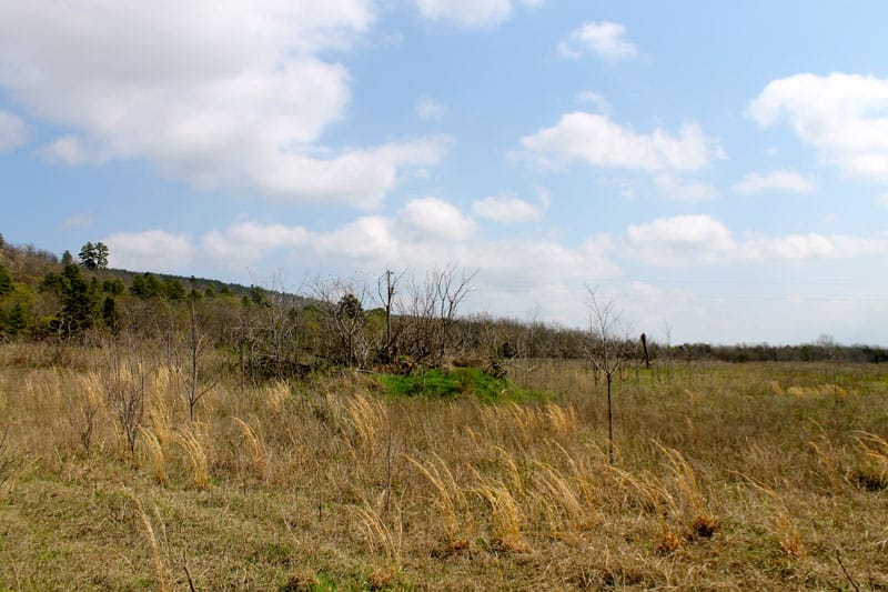 Daisy Meadows Tract 7 photo 9