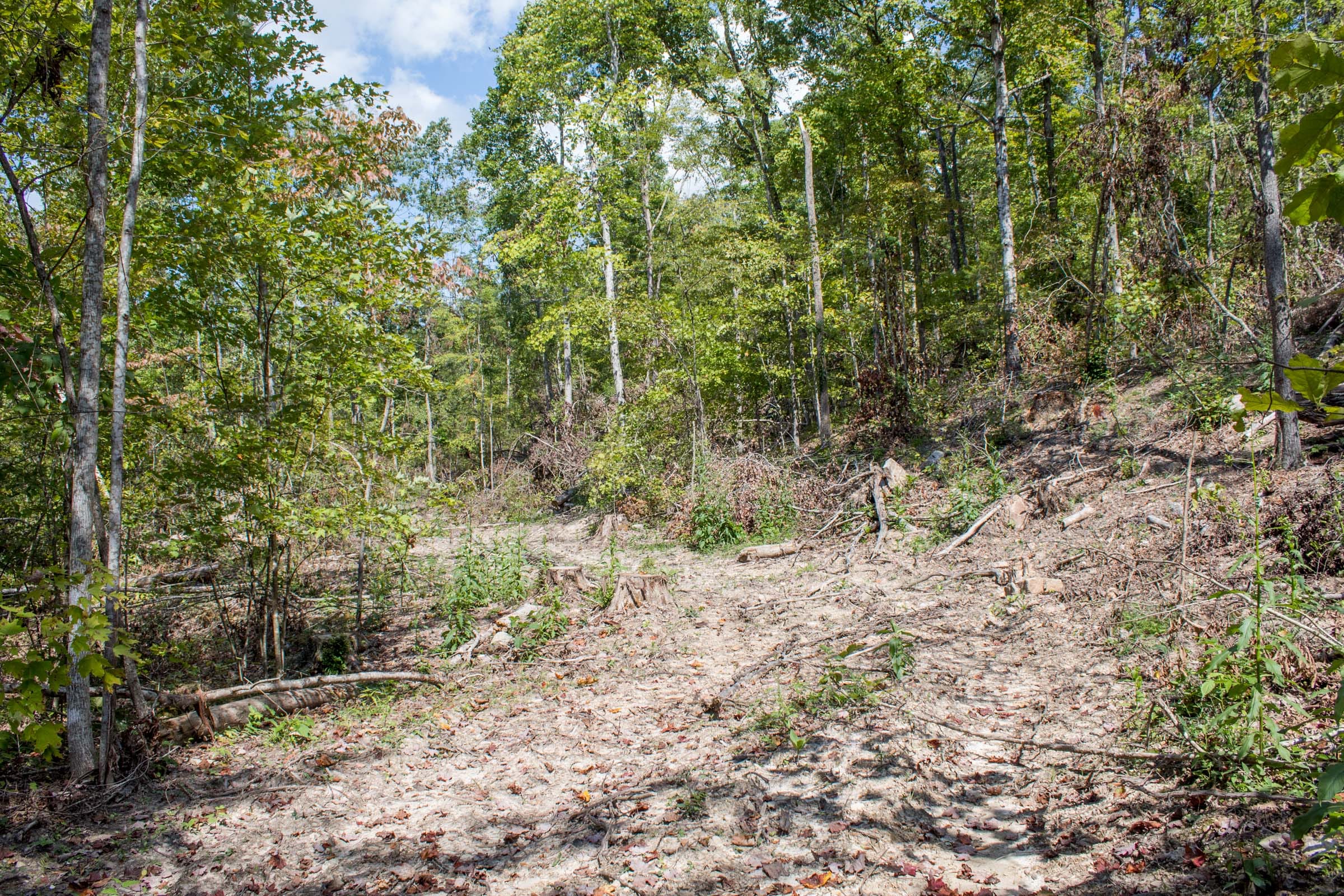 Buck Run Ridge Tract 21 photo 1