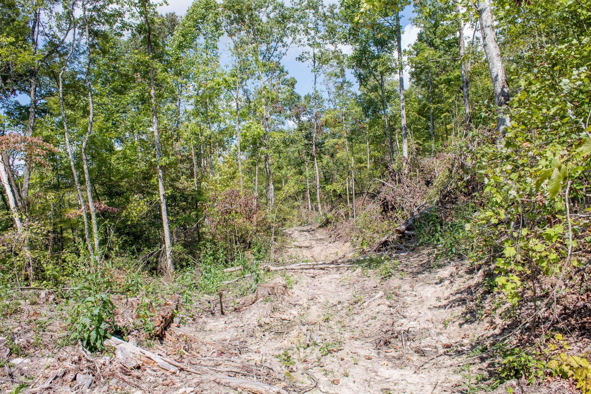 Buck Run Ridge Tract 21 photo 4