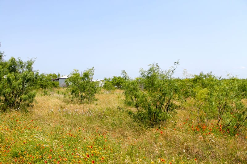 Meadowview Estates Tract 4 photo 5