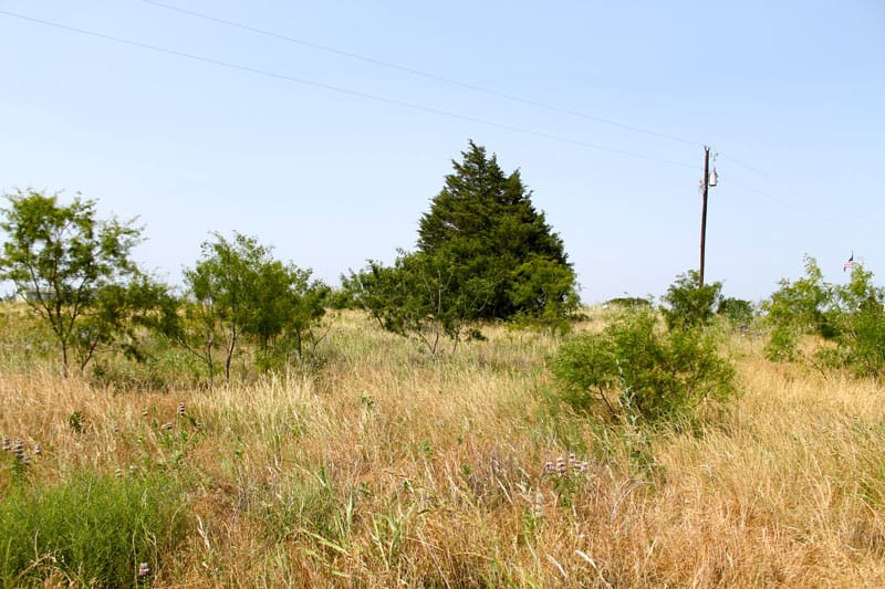 Meadowview Estates Tract 4 photo 4