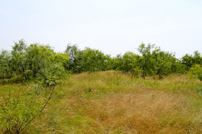 Meadowview Estates Tract 4 photo 9