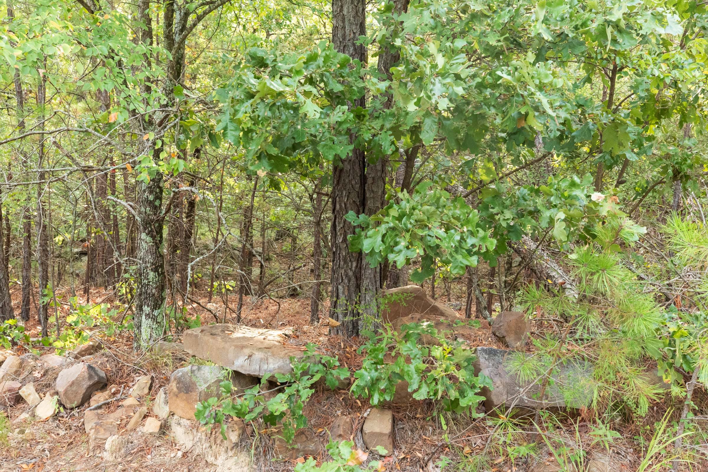 Stone Bridge Phase V Tract 393 photo 6