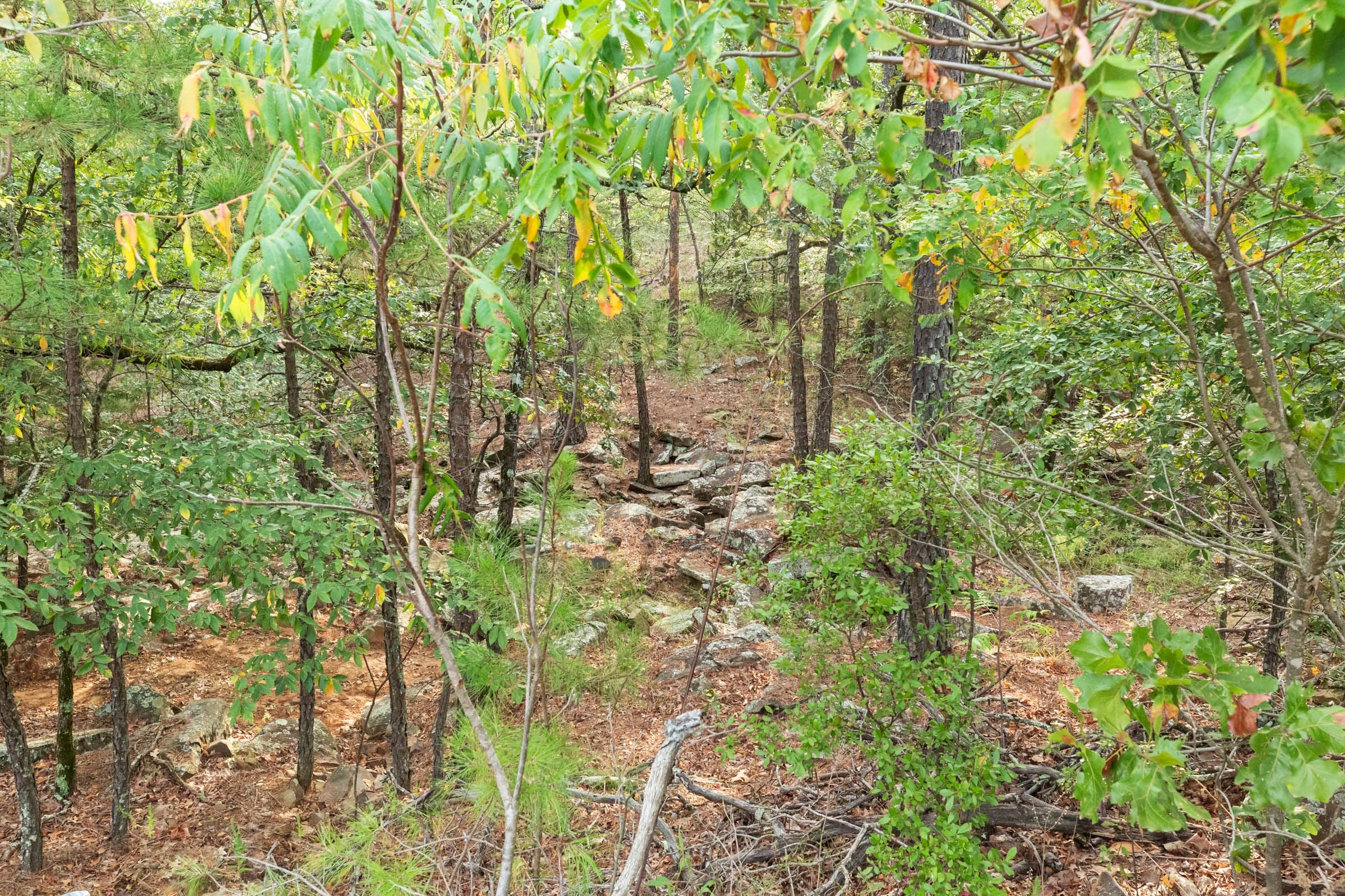 Stone Bridge Phase V Tract 393 photo 10