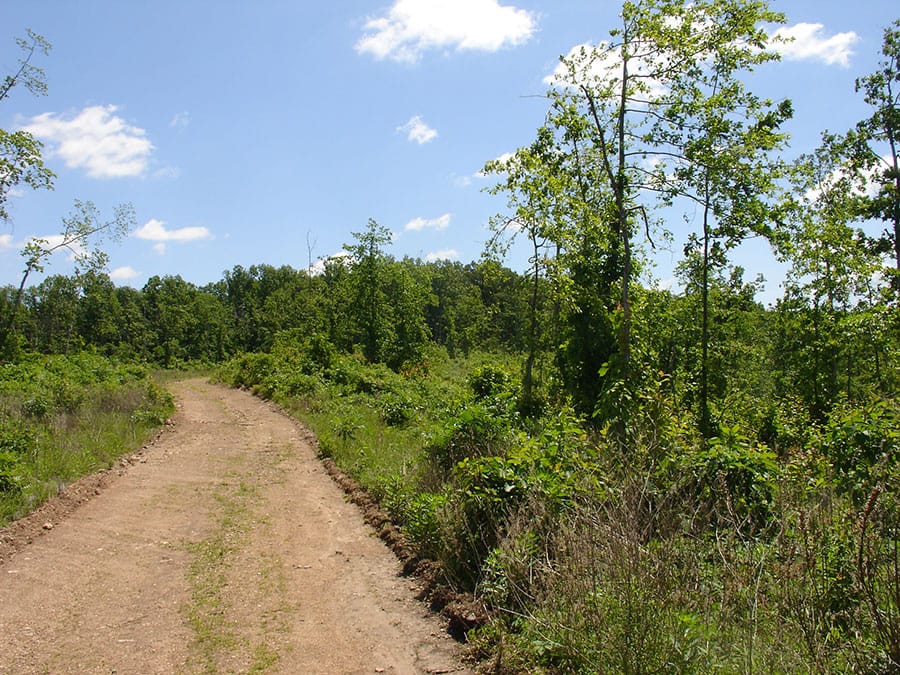 Antler Ridge Tract 7 photo 3