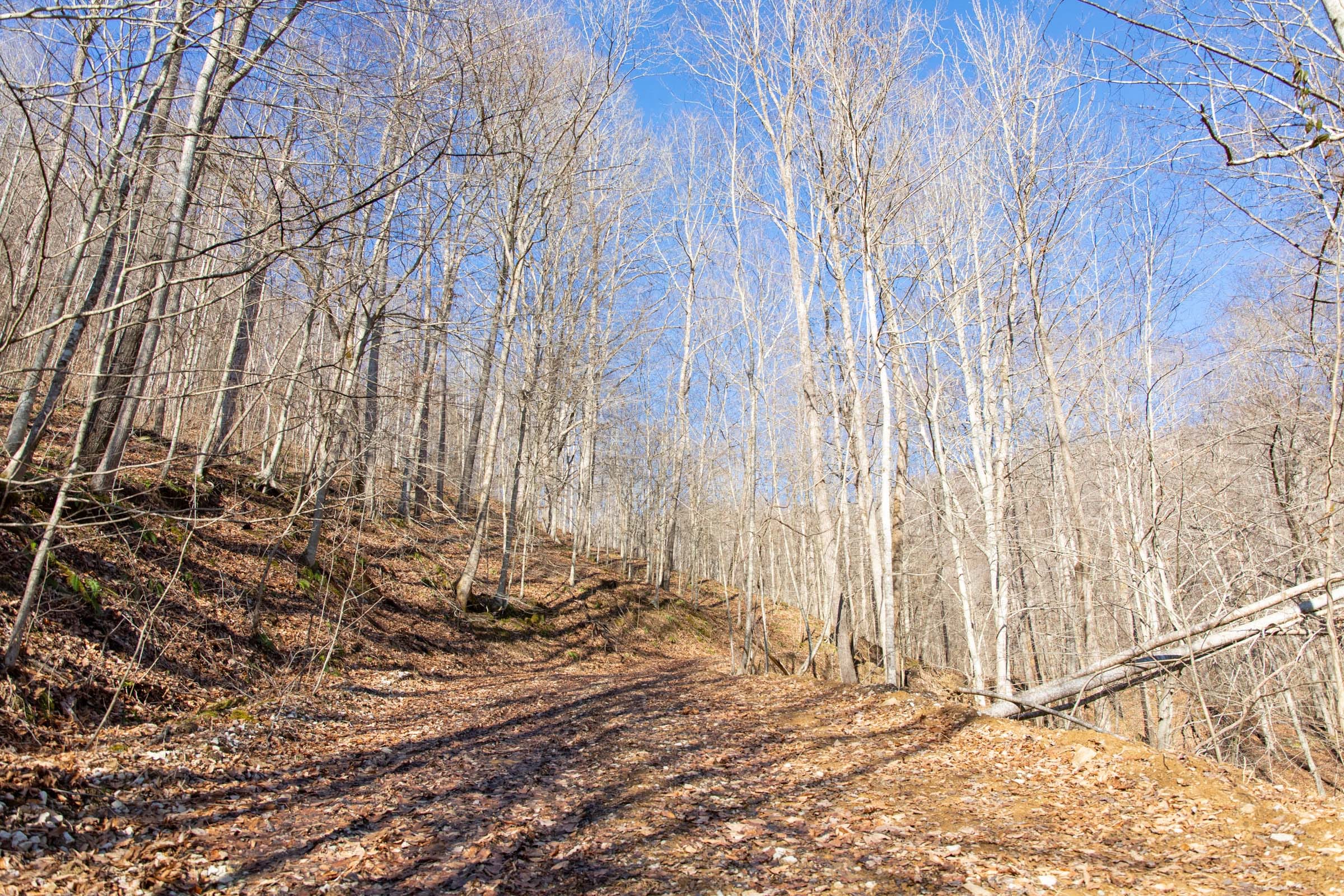 Blackstone Mountain Phase I Tract 12 photo 7