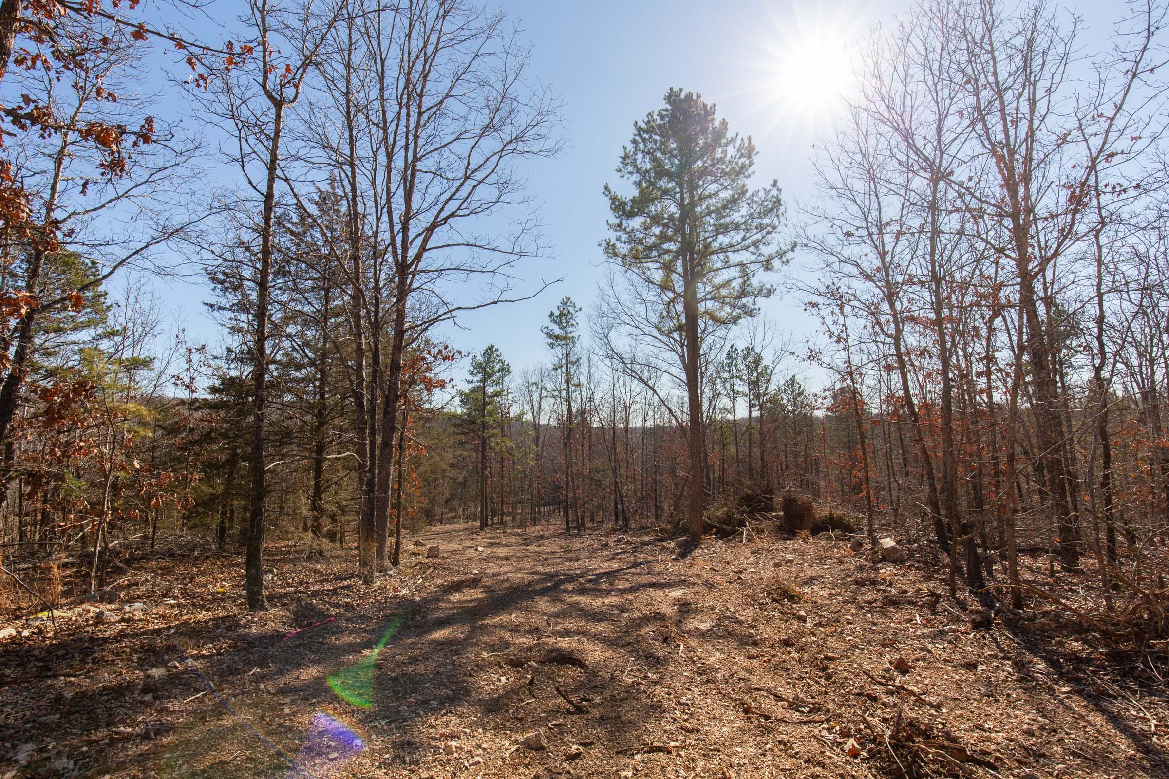 O’Connor Crossing Tract 14 photo 2