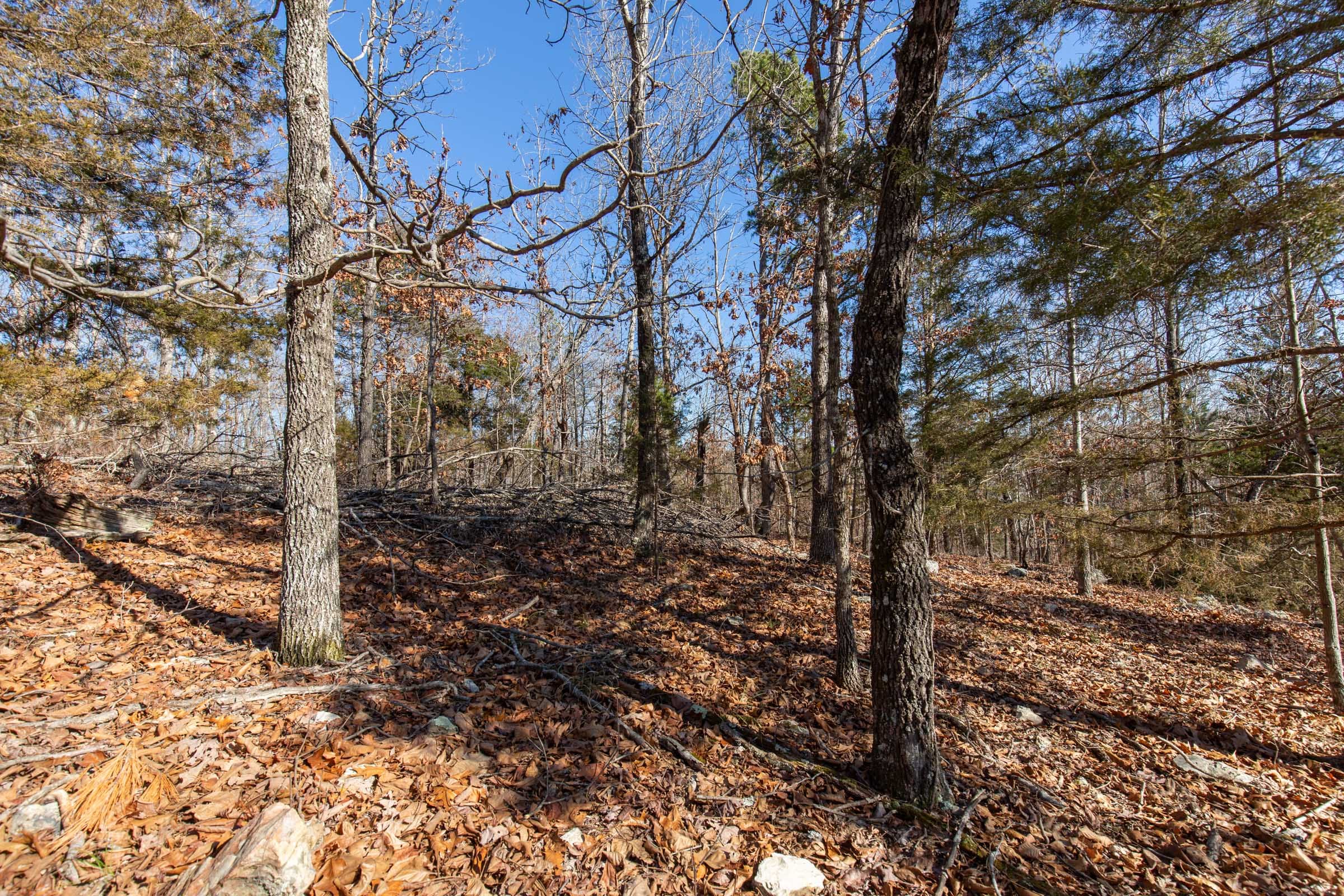 O’Connor Crossing Tract 14 photo 5