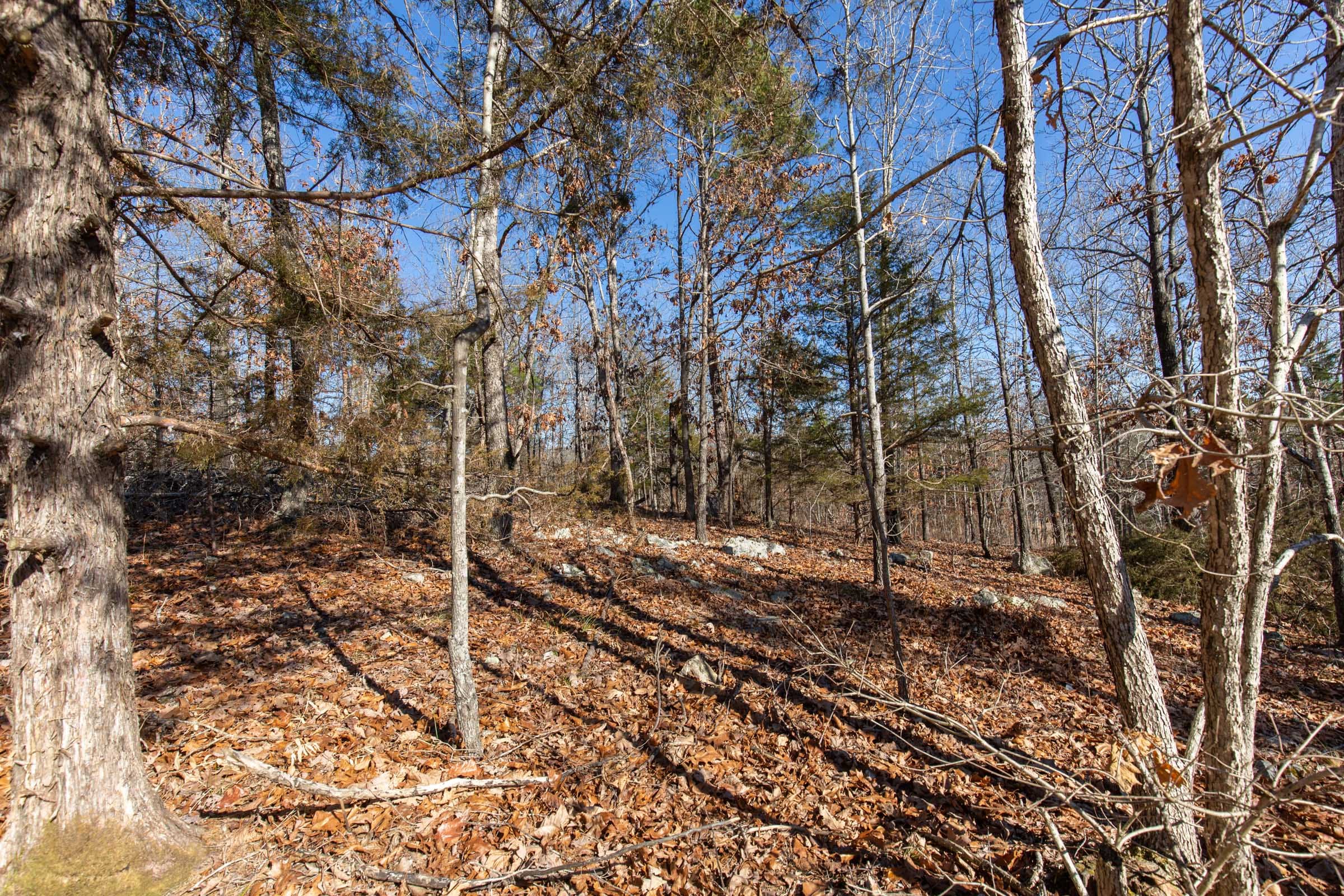 O’Connor Crossing Tract 14 photo 7