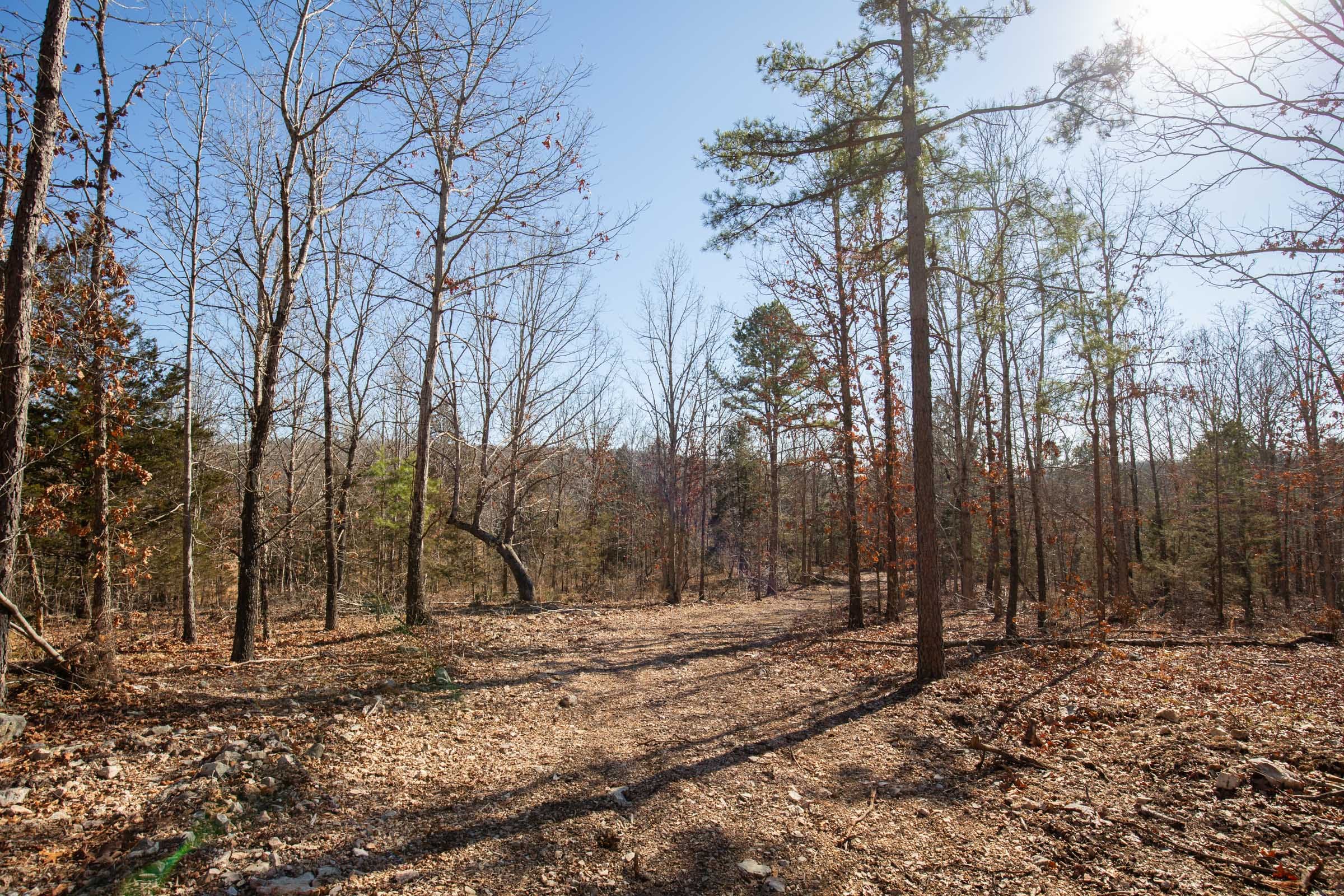 O’Connor Crossing Tract 14 photo 9