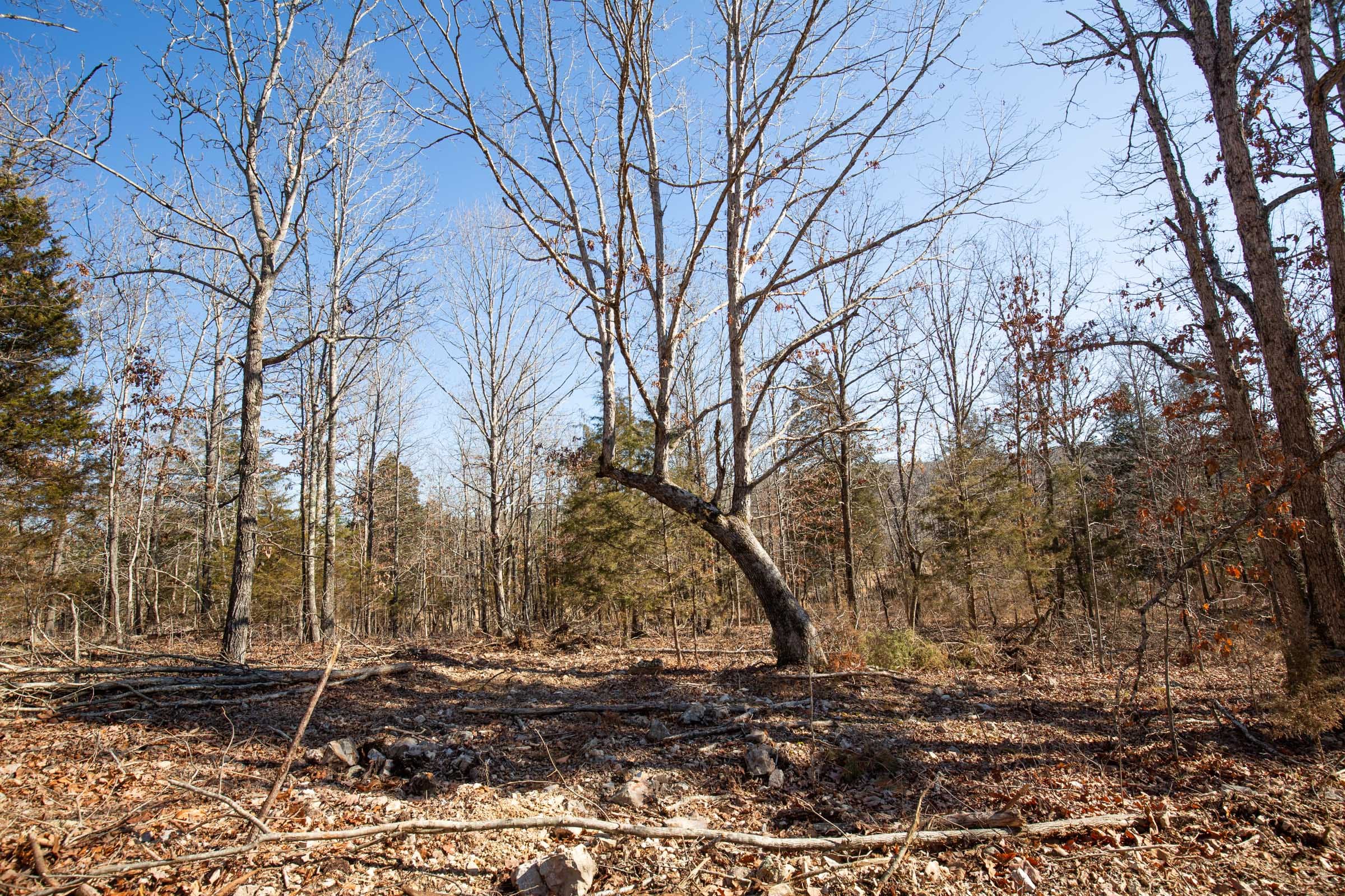 O’Connor Crossing Tract 14 photo 8
