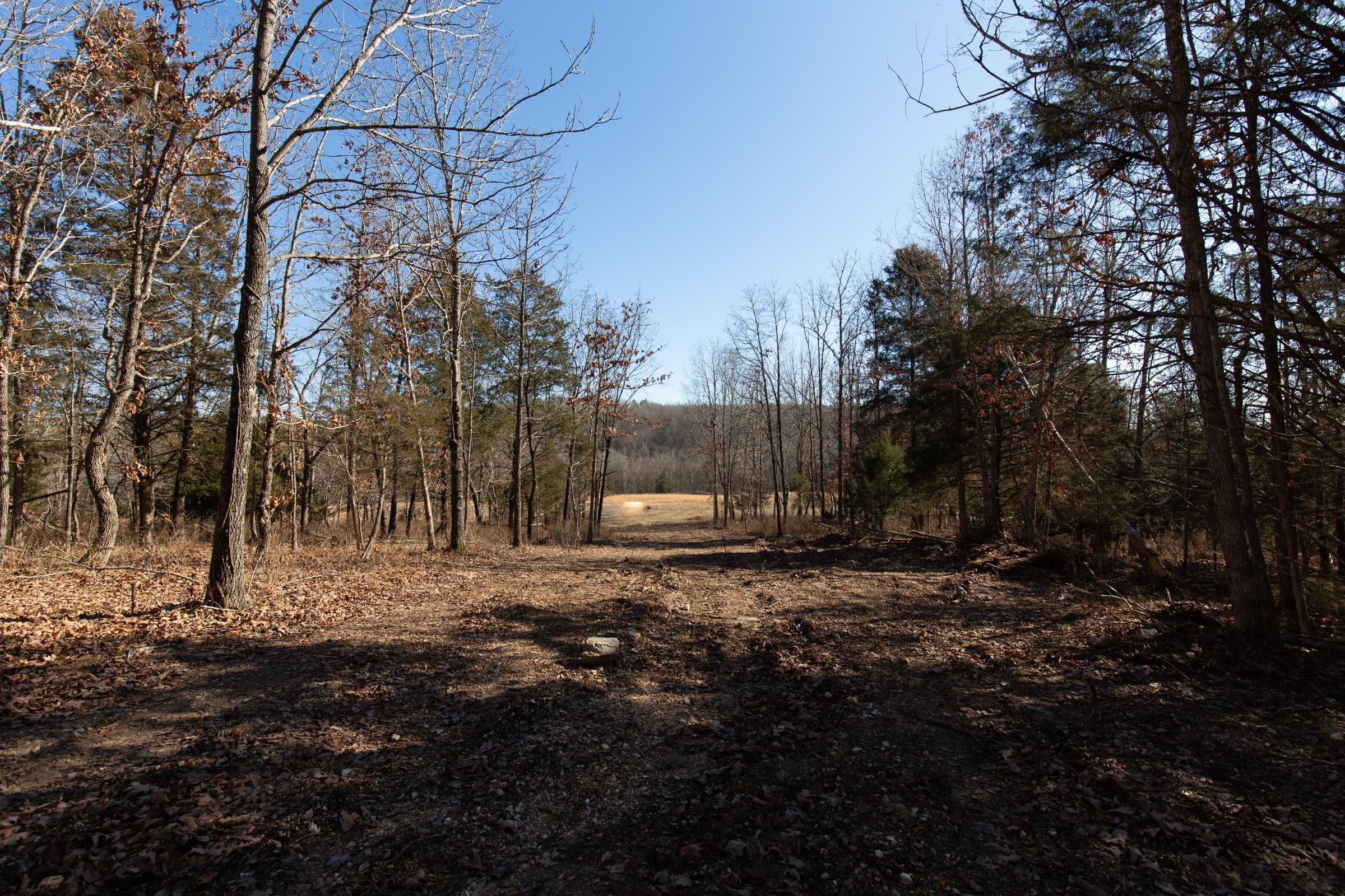 O’Connor Crossing Tract 14 photo 15