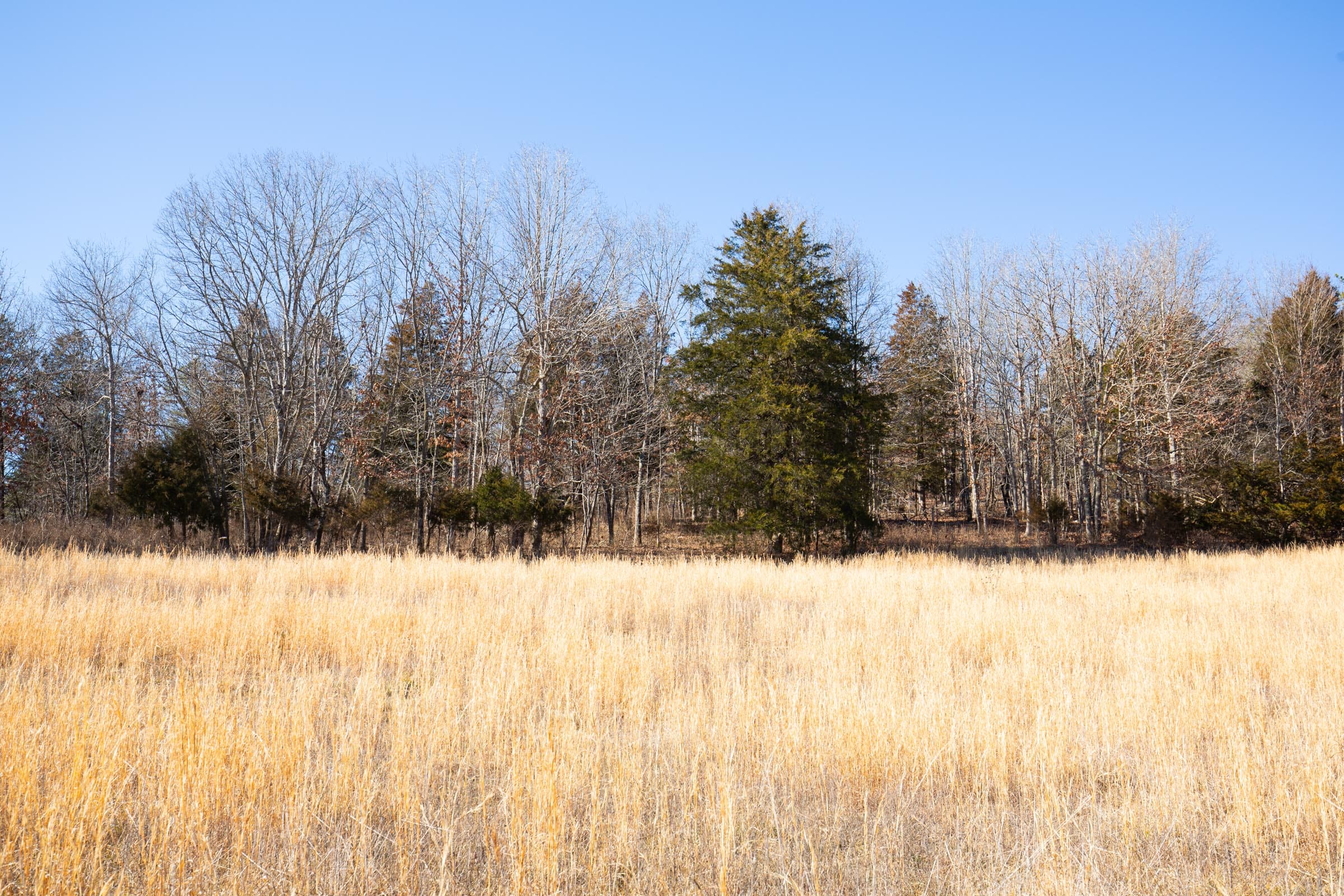 O’Connor Crossing Tract 14 photo 10