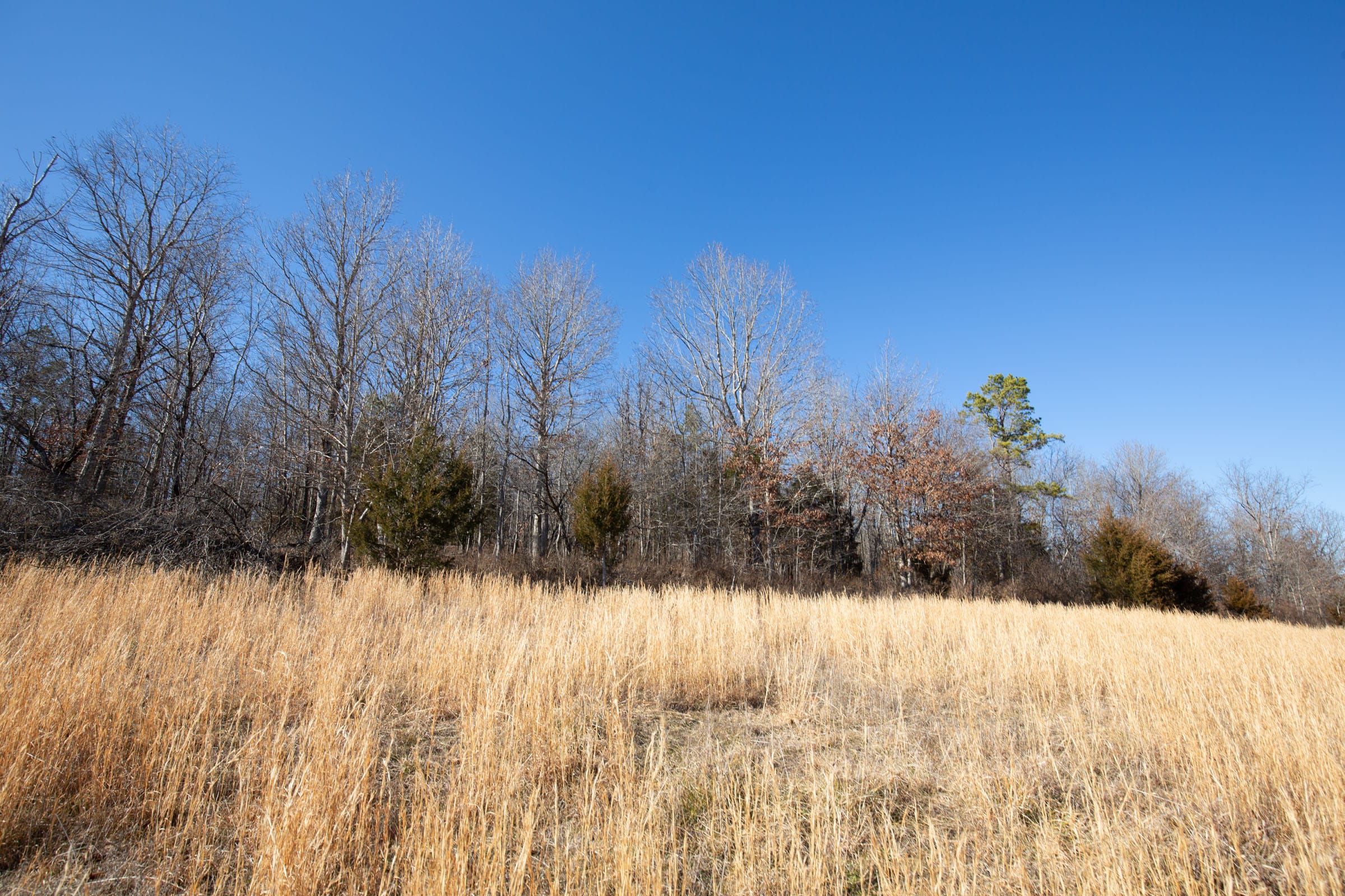 O’Connor Crossing Tract 14 photo 12