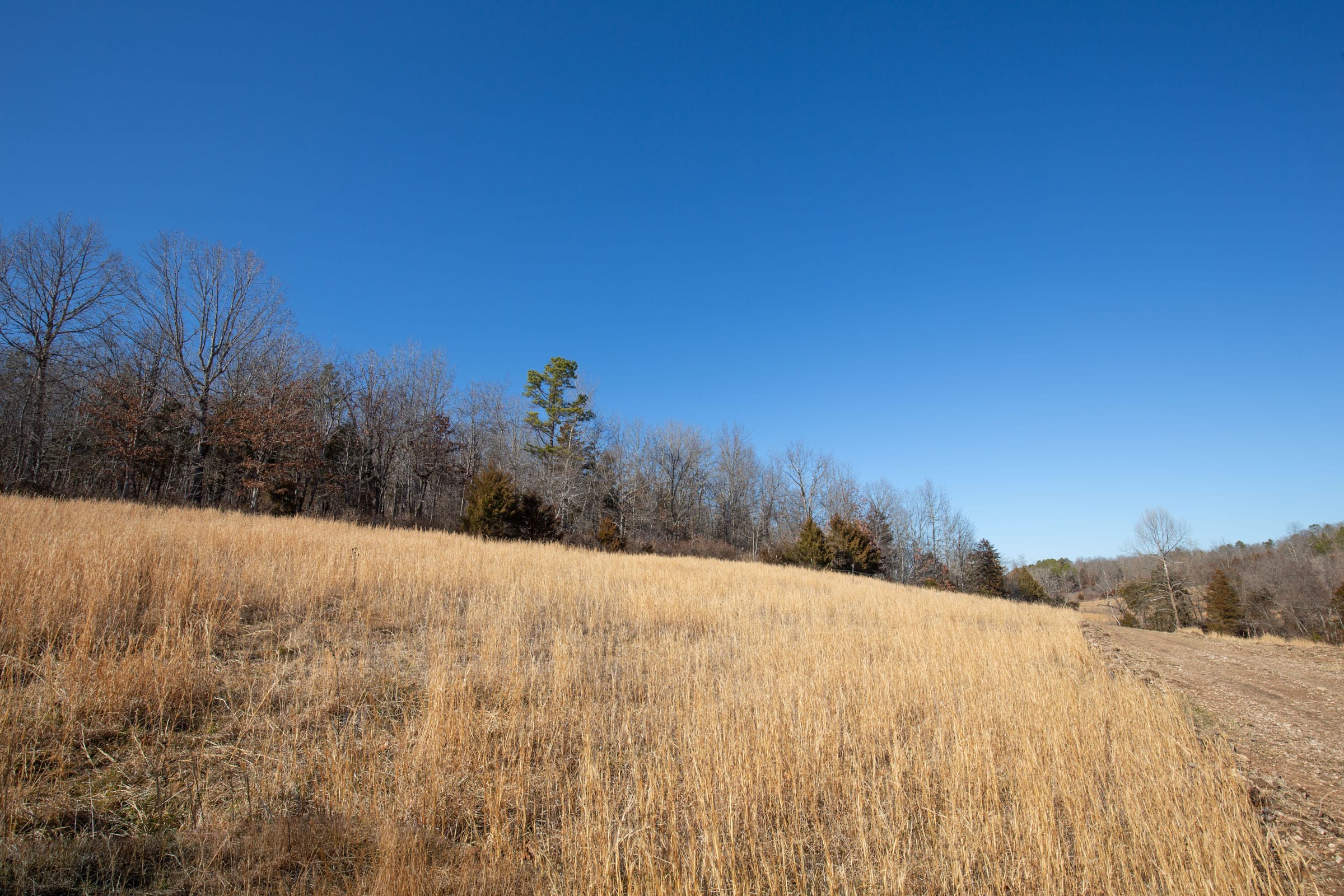 O’Connor Crossing Tract 14 photo 14