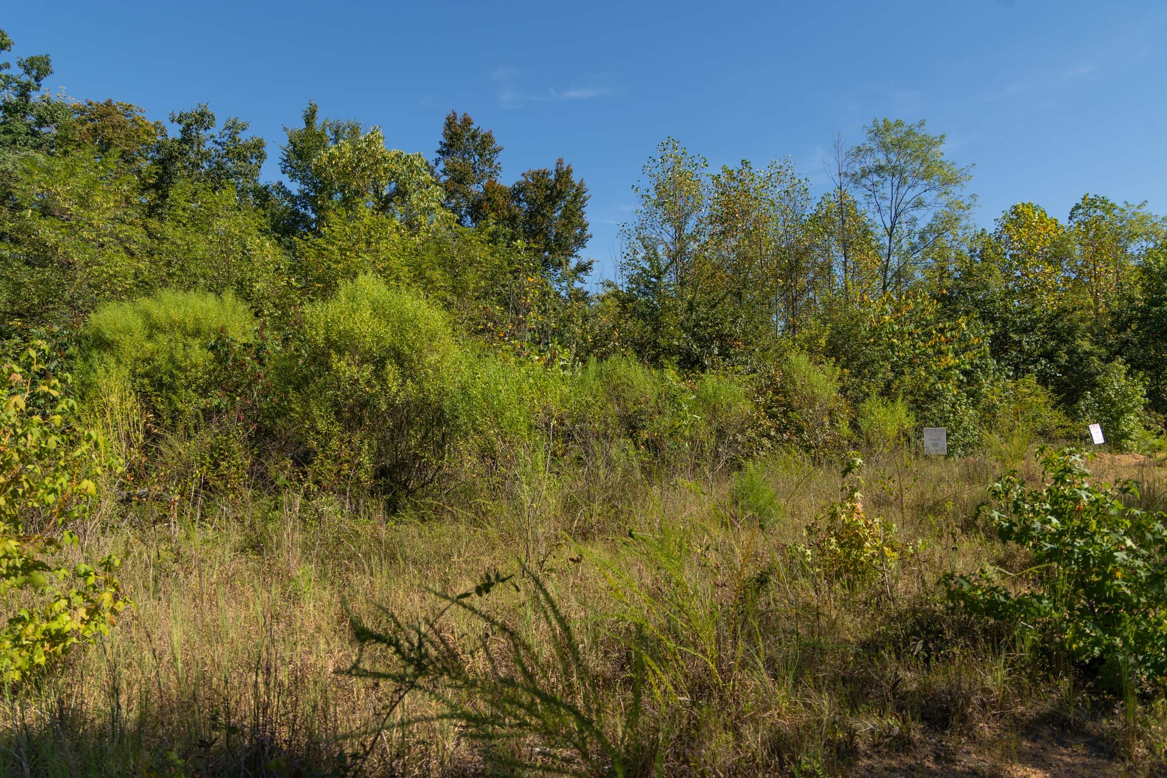 Big White Oak Tract 105 photo 4