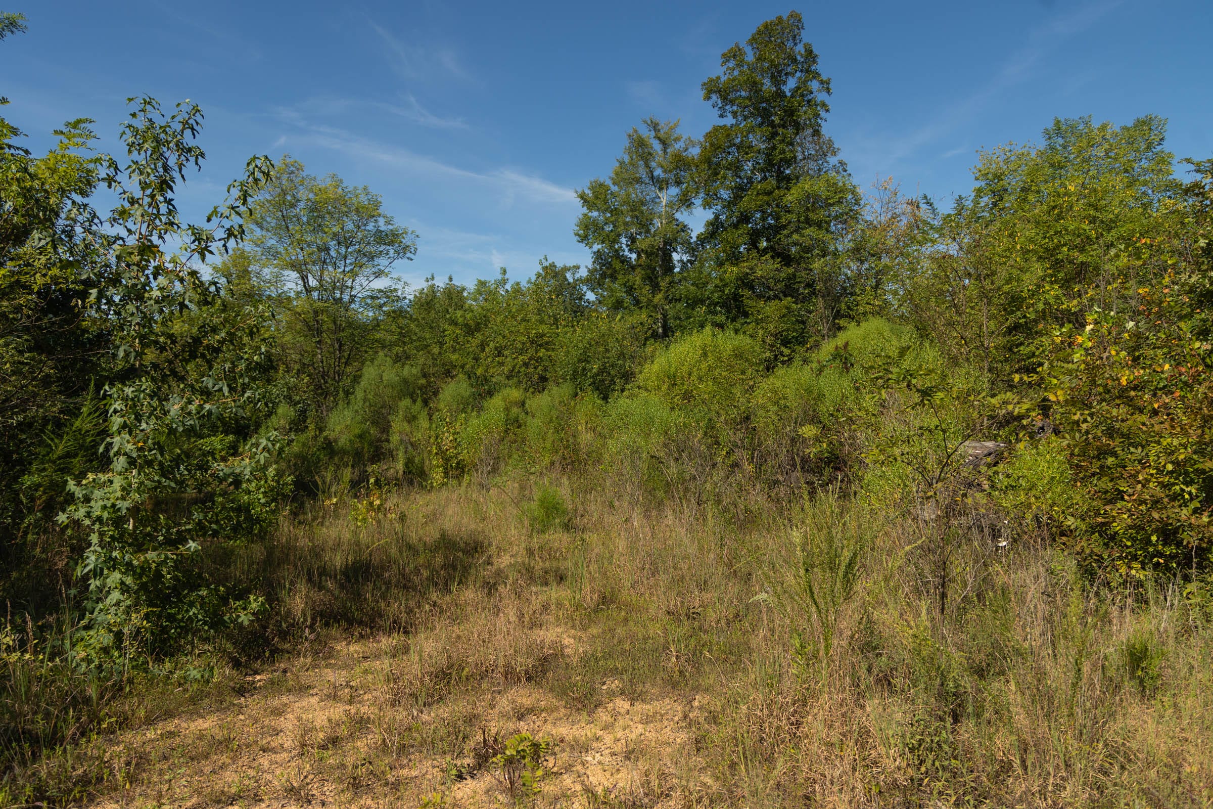 Big White Oak Tract 105 photo 1