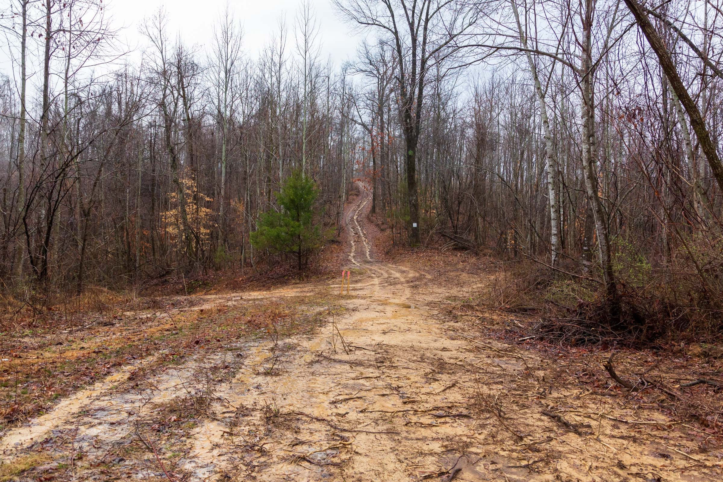 Blackstone Mountain Phase II Tract 85 photo 1