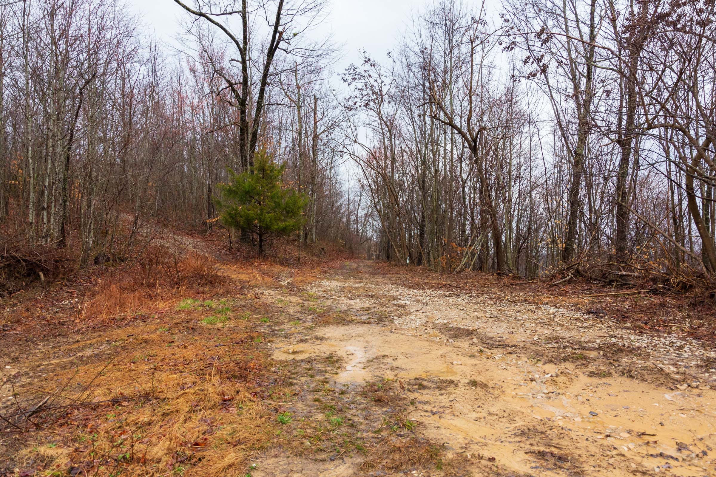 Blackstone Mountain Phase II Tract 85 photo 6