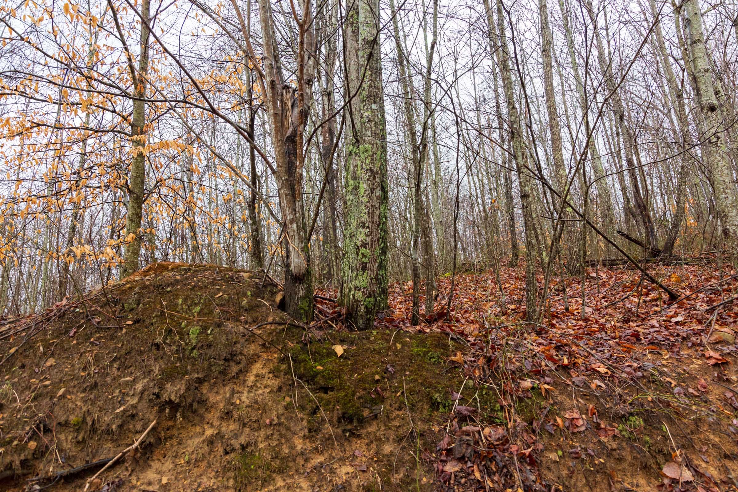 Blackstone Mountain Phase II Tract 85 photo 2