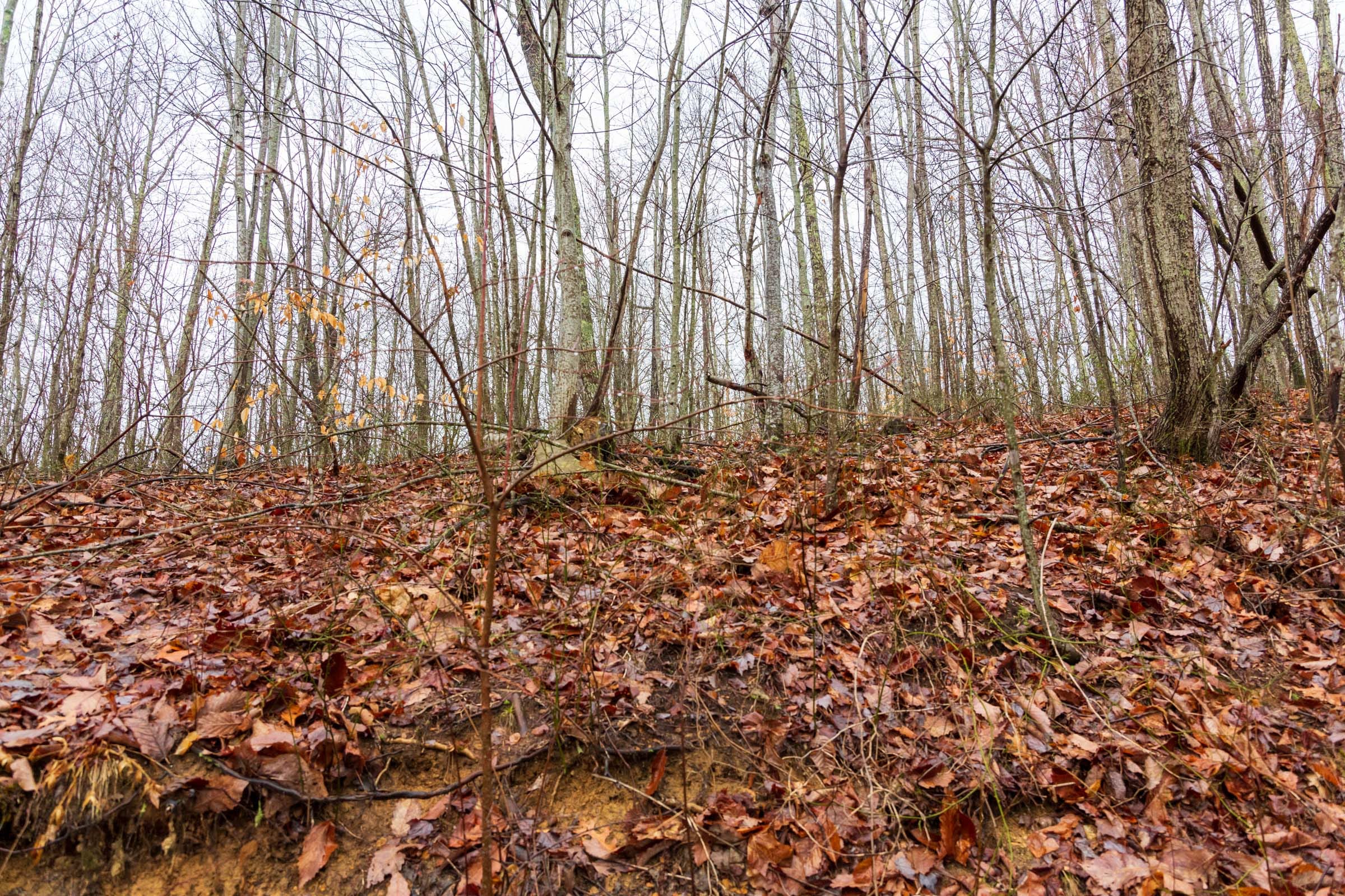 Blackstone Mountain Phase II Tract 85 photo 3