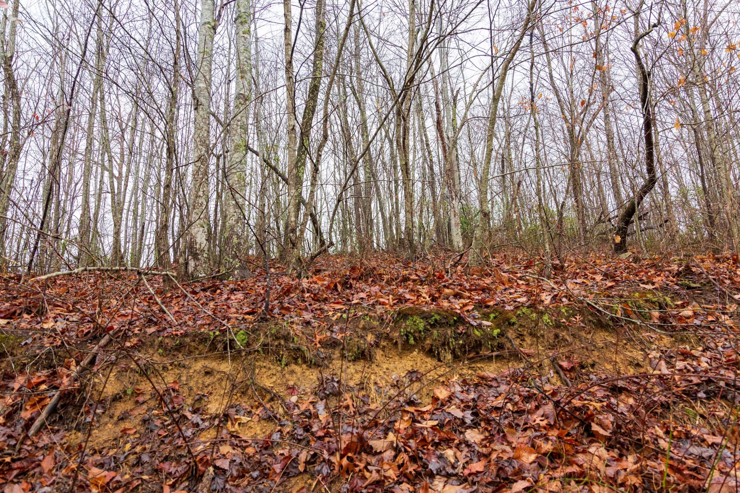 Blackstone Mountain Phase II Tract 85 photo 4