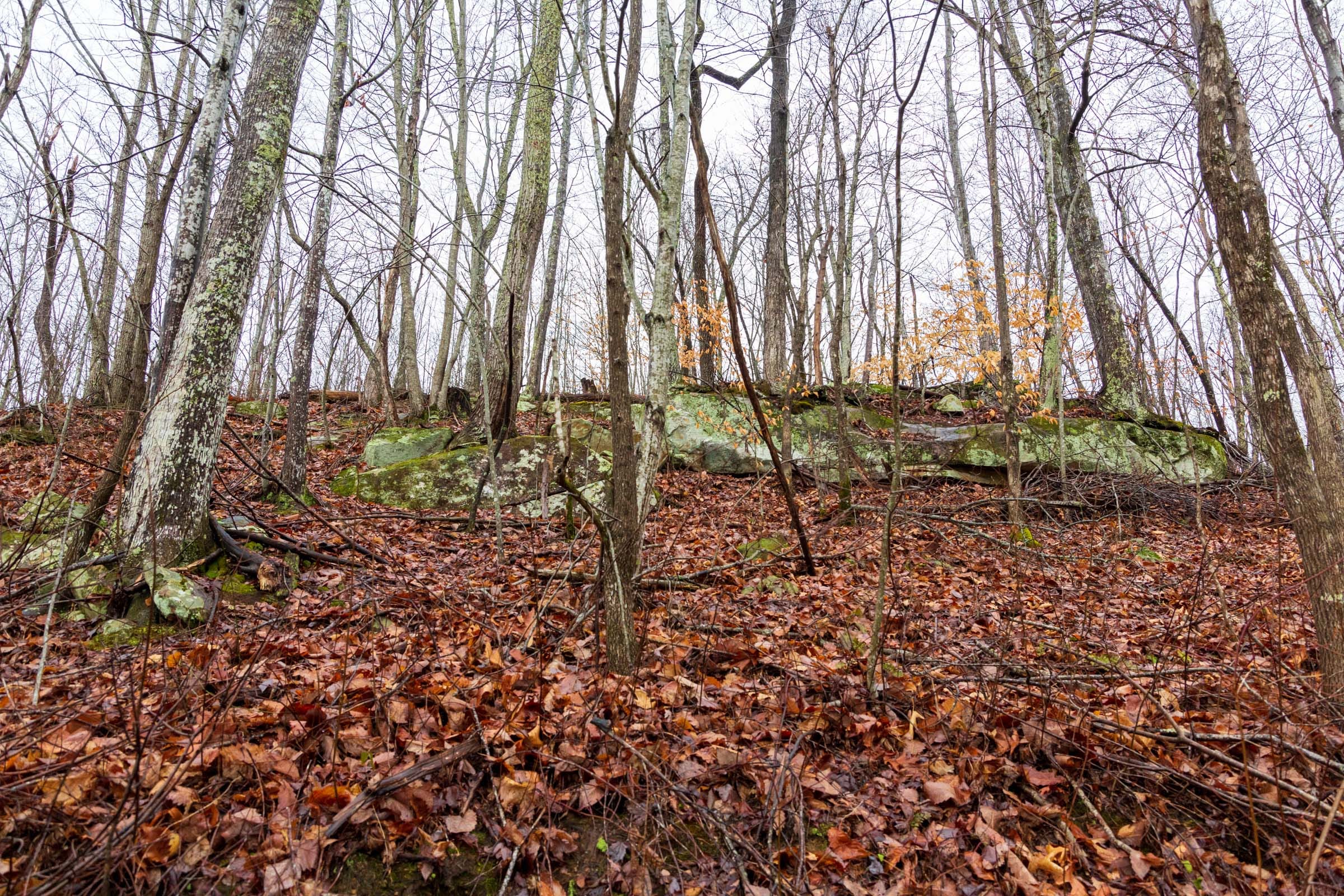 Blackstone Mountain Phase II Tract 85 photo 5