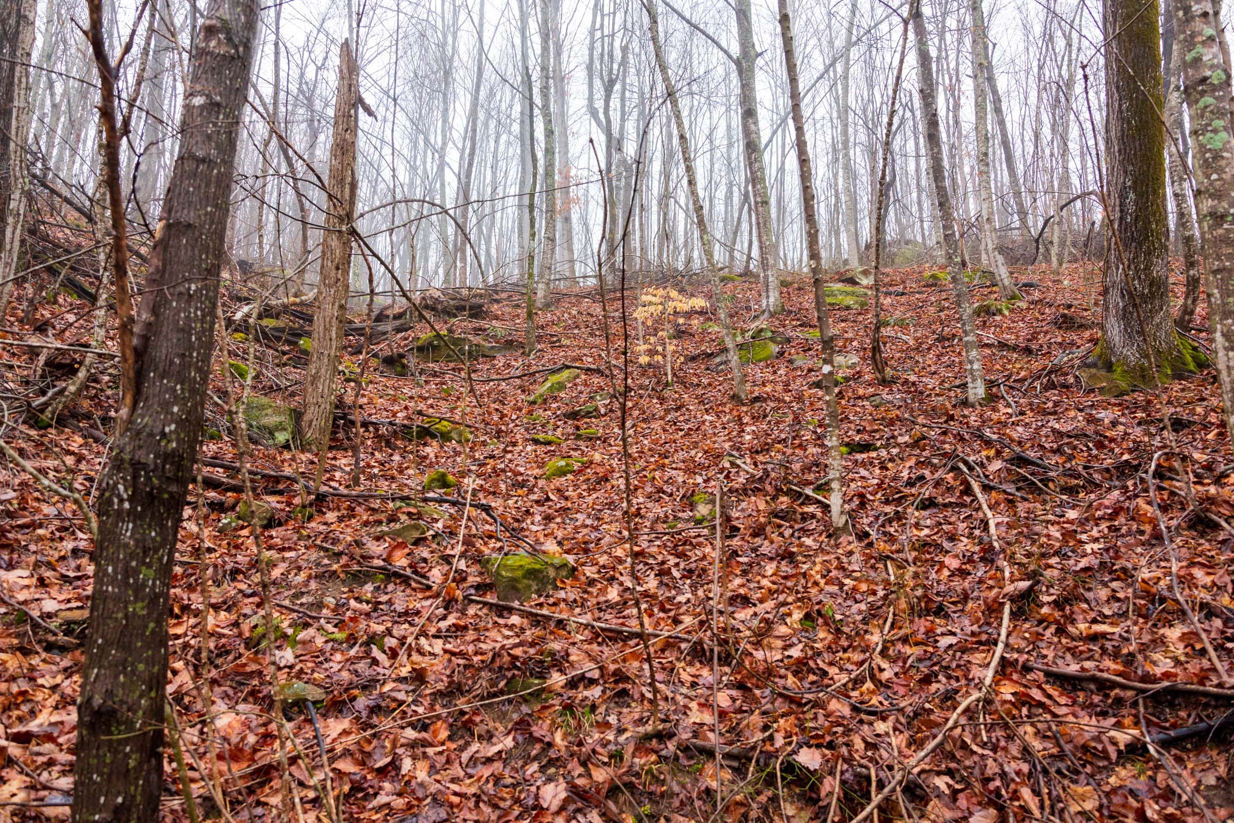 Blackstone Mountain Phase II Tract 85 photo 13