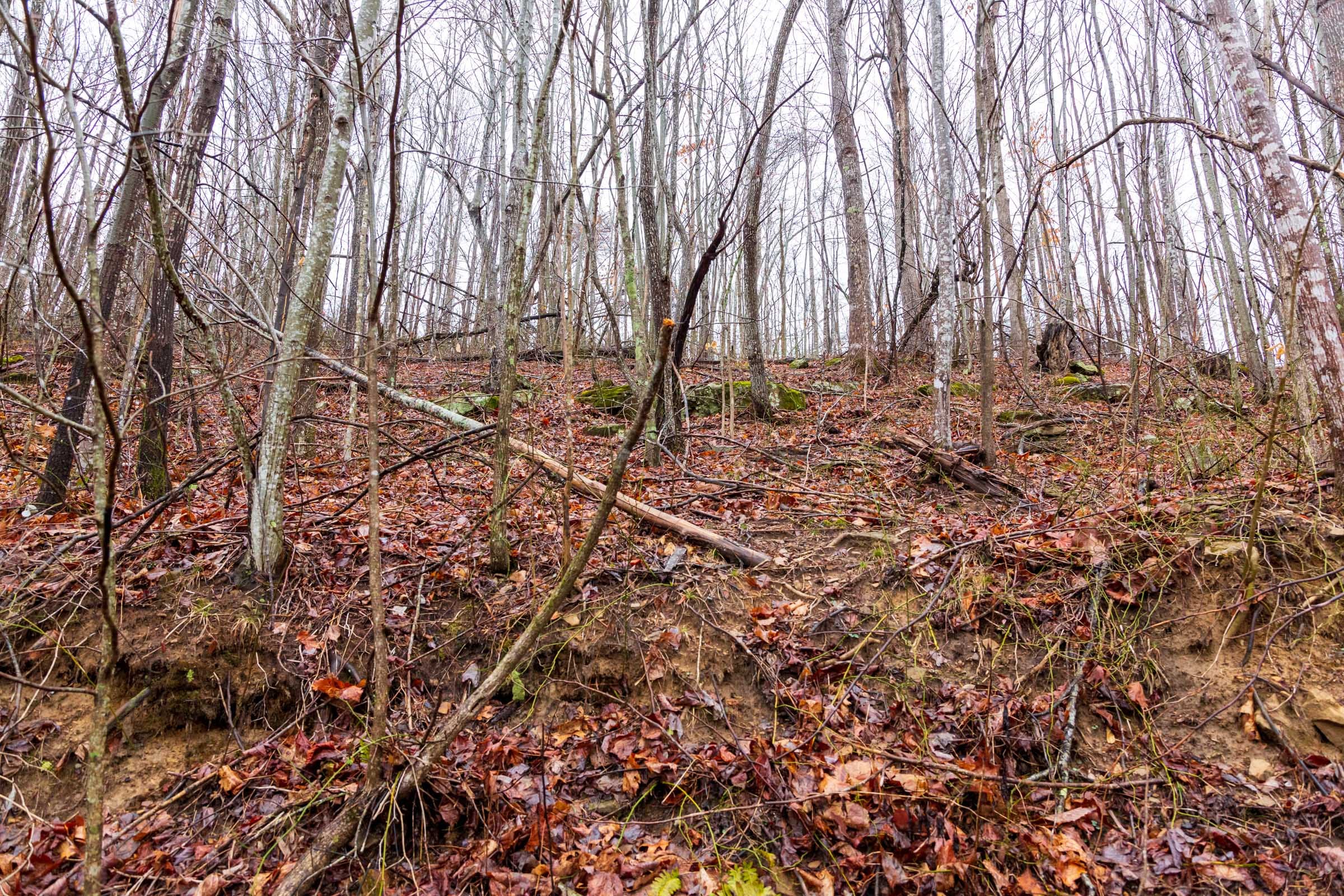 Blackstone Mountain Phase II Tract 85 photo 15