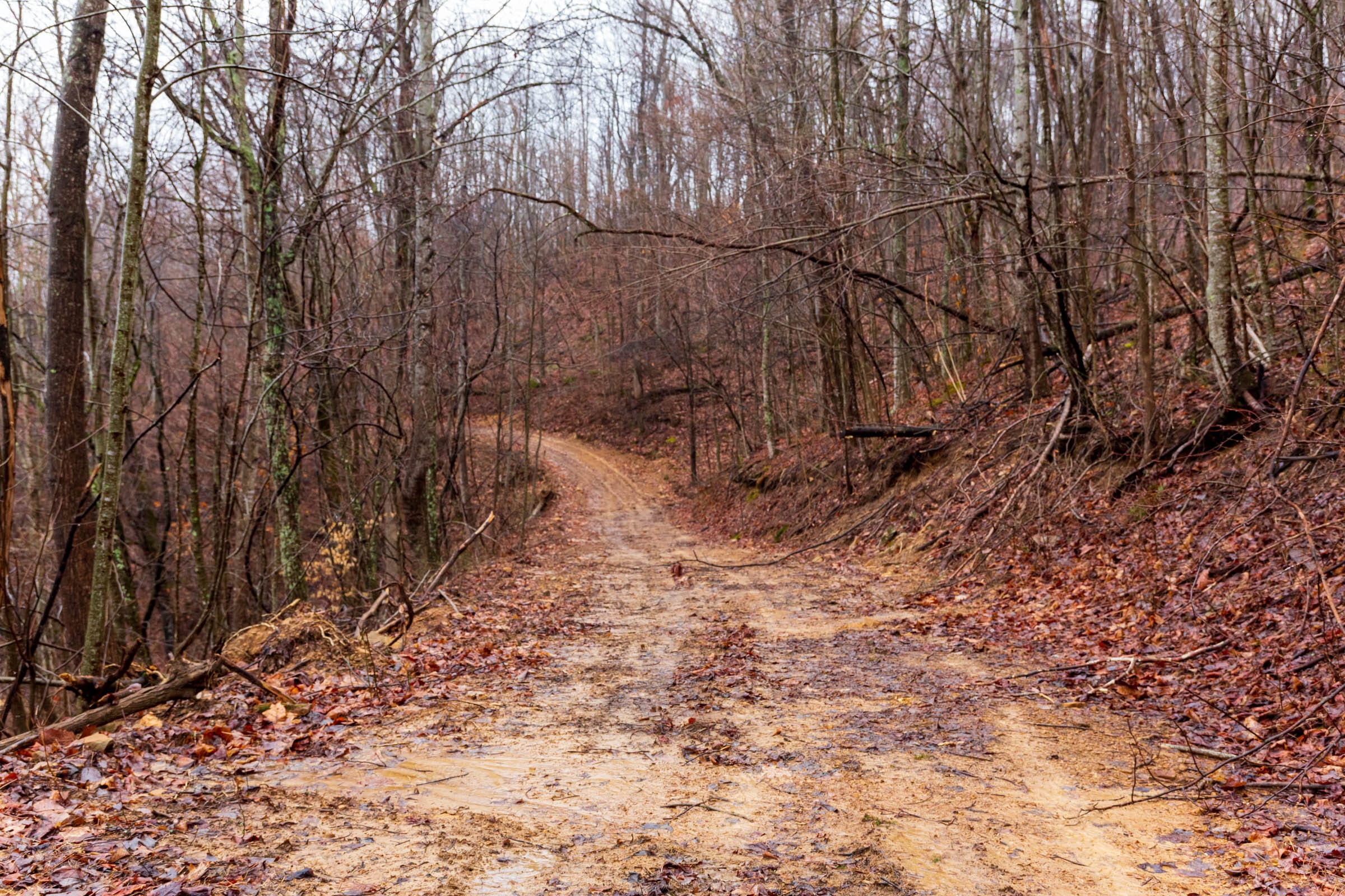 Blackstone Mountain Phase II Tract 85 photo 10