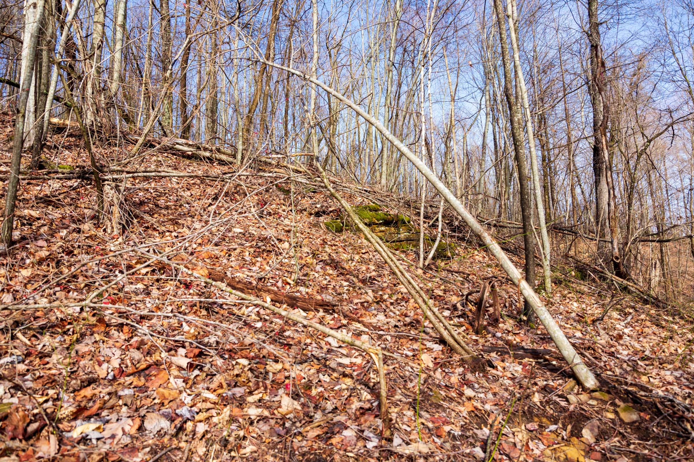 Blackstone Mountain Phase II Tract 85 photo 16