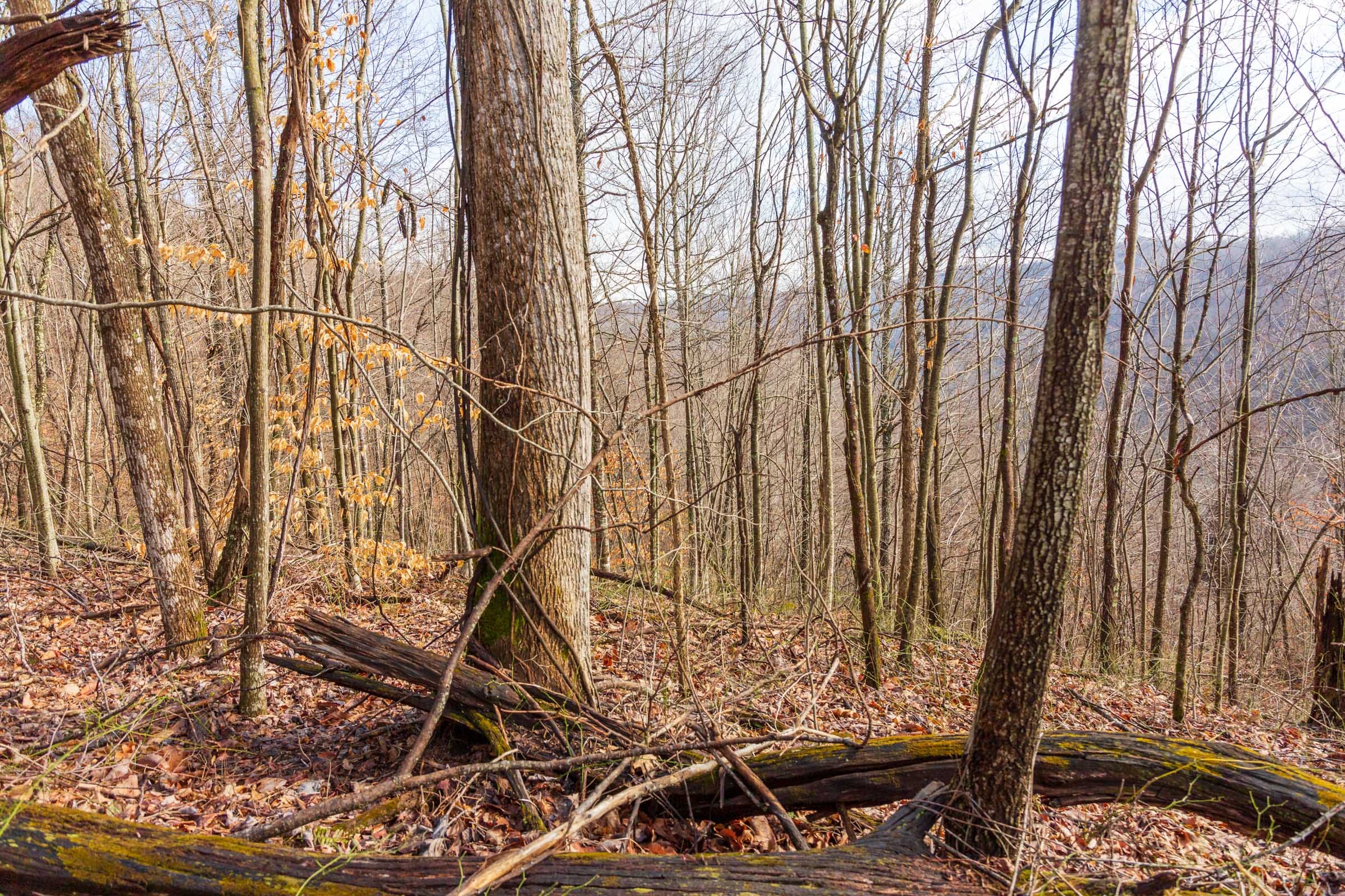 Blackstone Mountain Phase II Tract 85 photo 17