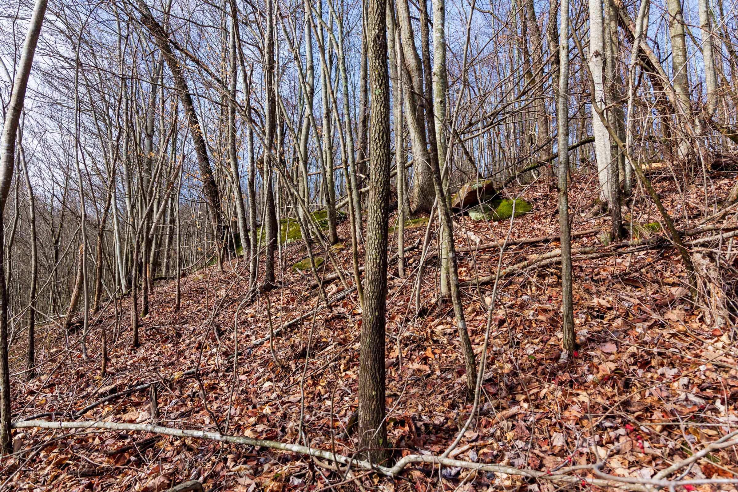 Blackstone Mountain Phase II Tract 85 photo 18