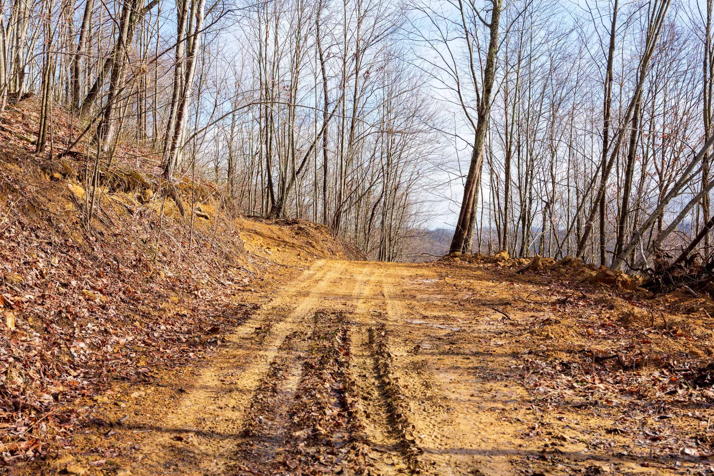 Blackstone Mountain Phase II Tract 85 photo 14