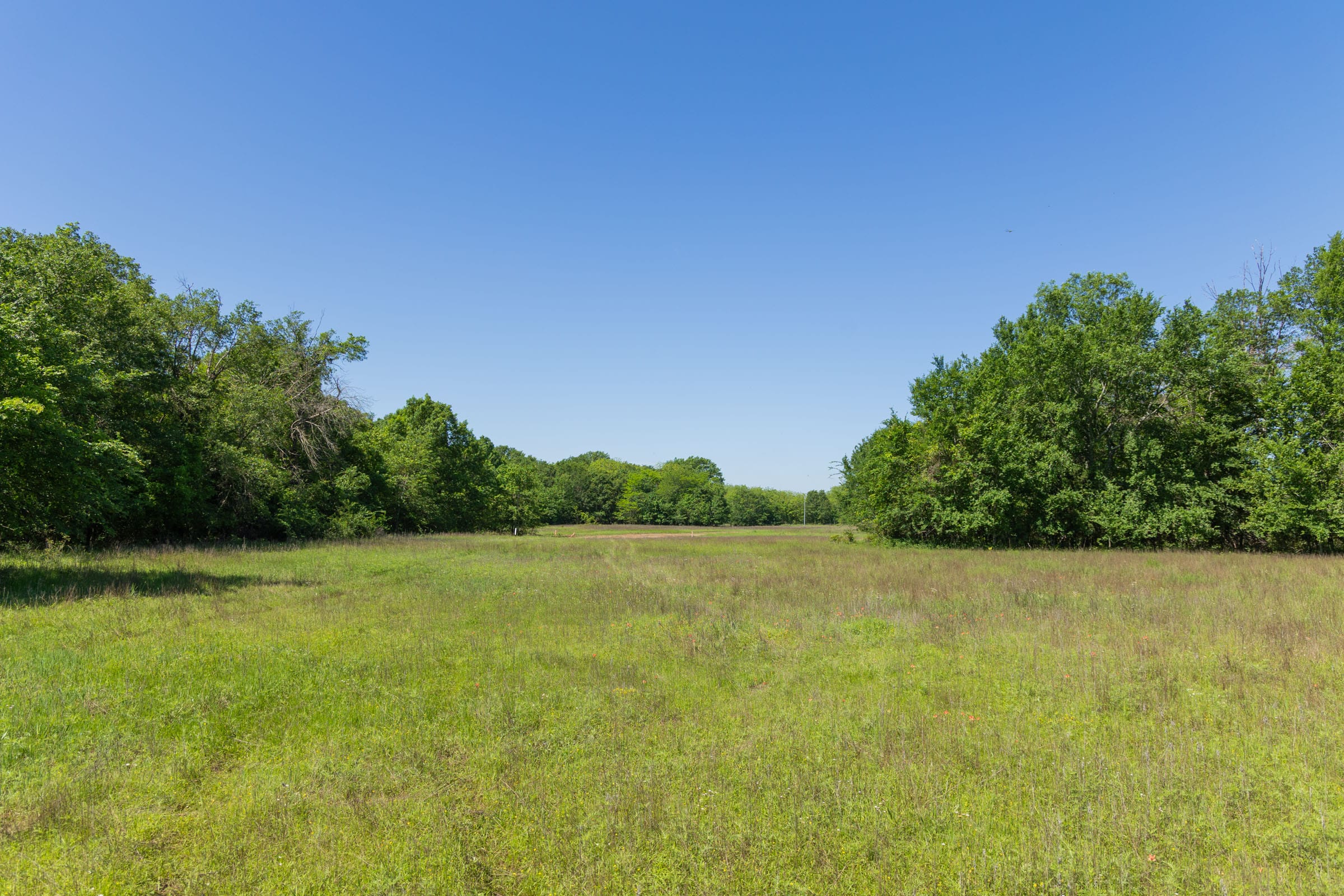 Harmony Hills Tract 32 photo 8