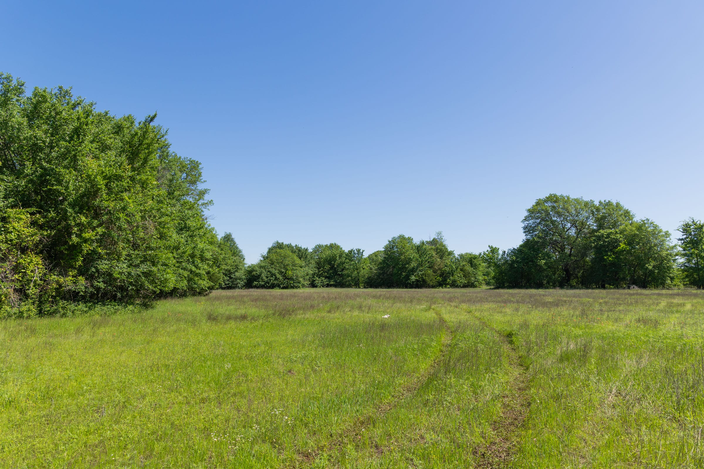 Harmony Hills Tract 32 photo 2