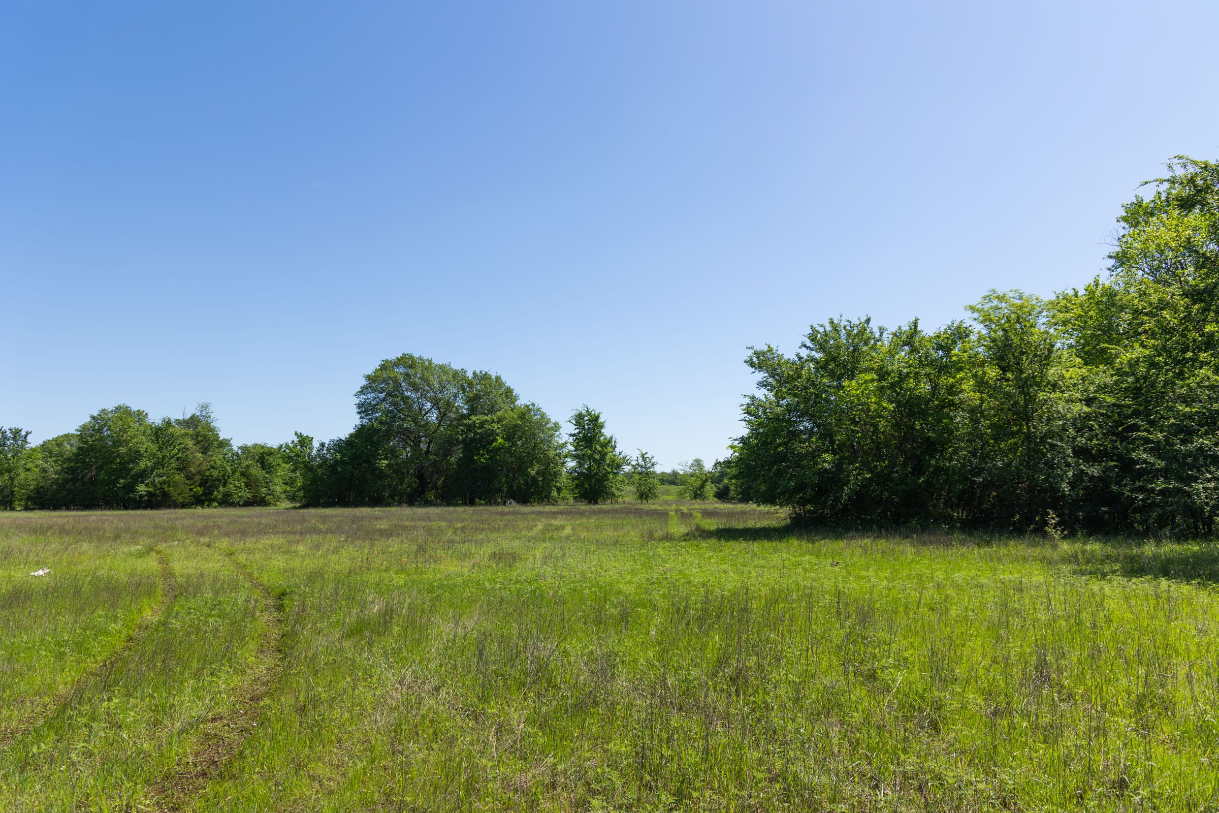 Harmony Hills Tract 32 photo 4