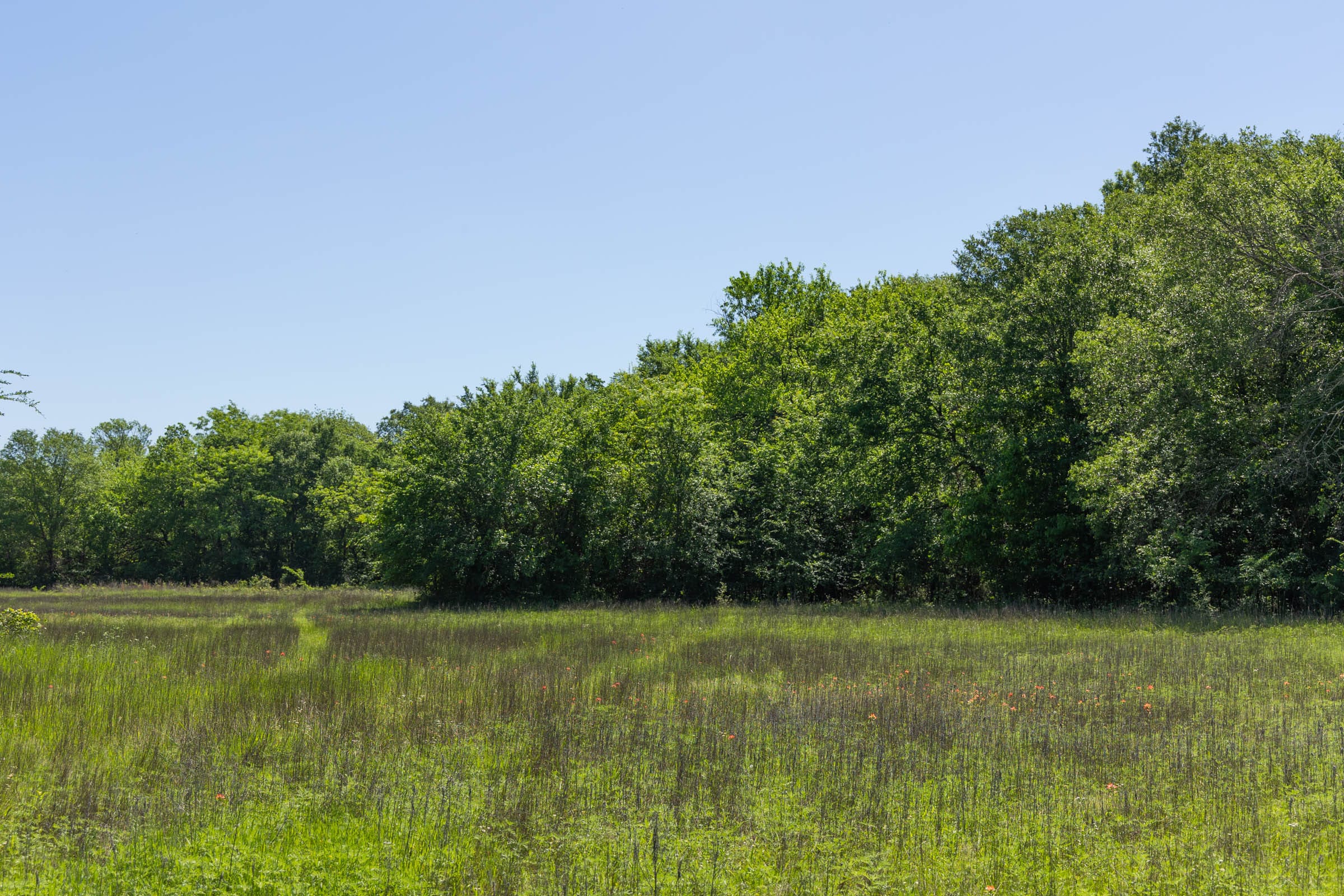 Harmony Hills Tract 32 photo 7