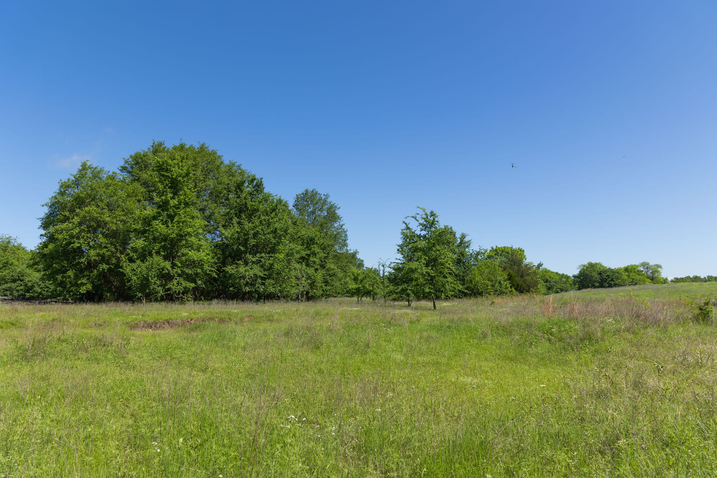 Harmony Hills Tract 32 photo 9