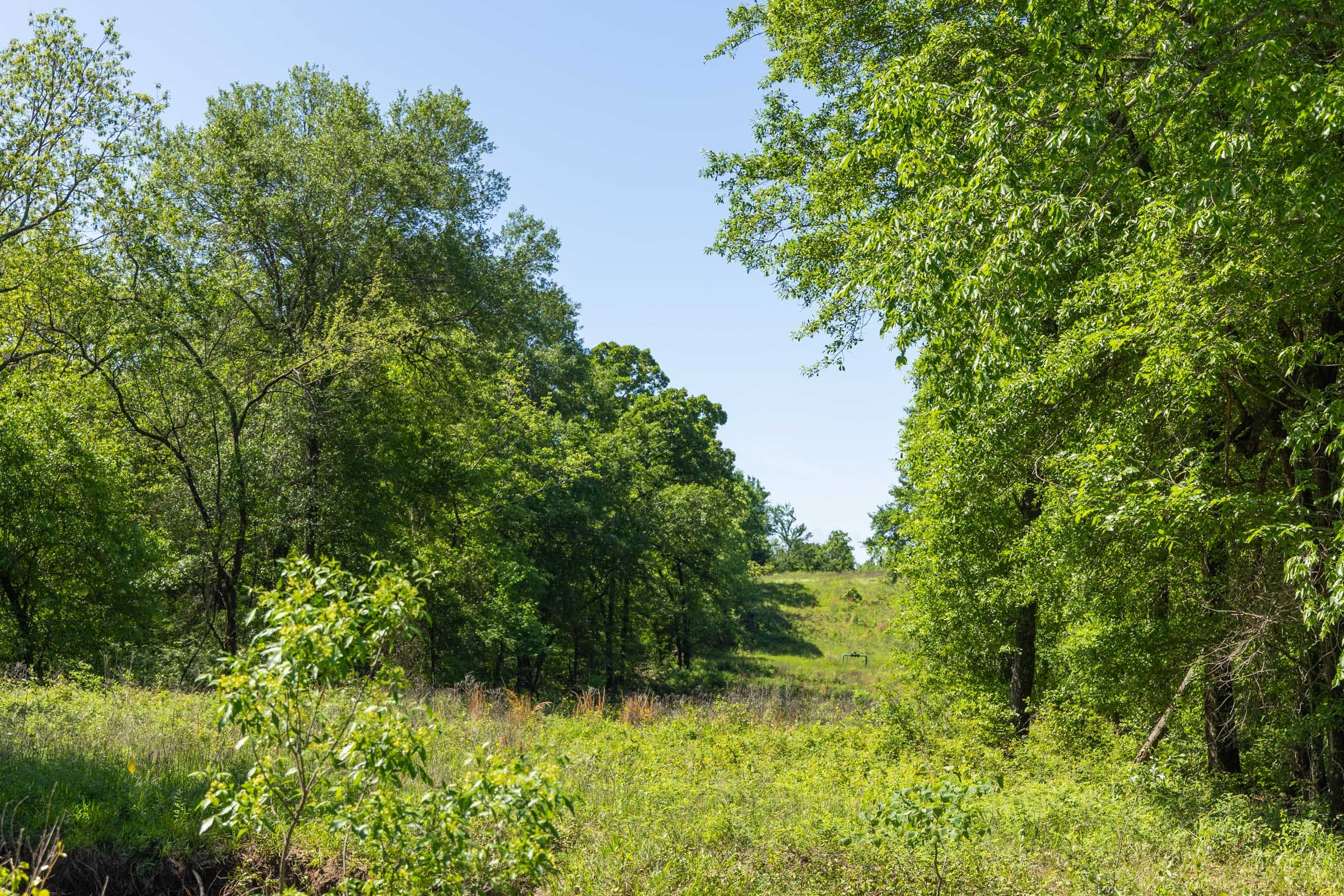 Harmony Hills Tract 32 photo 6
