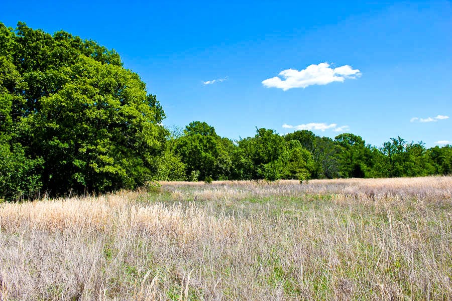 Saddlebrook Ranch Tract 38 photo 1