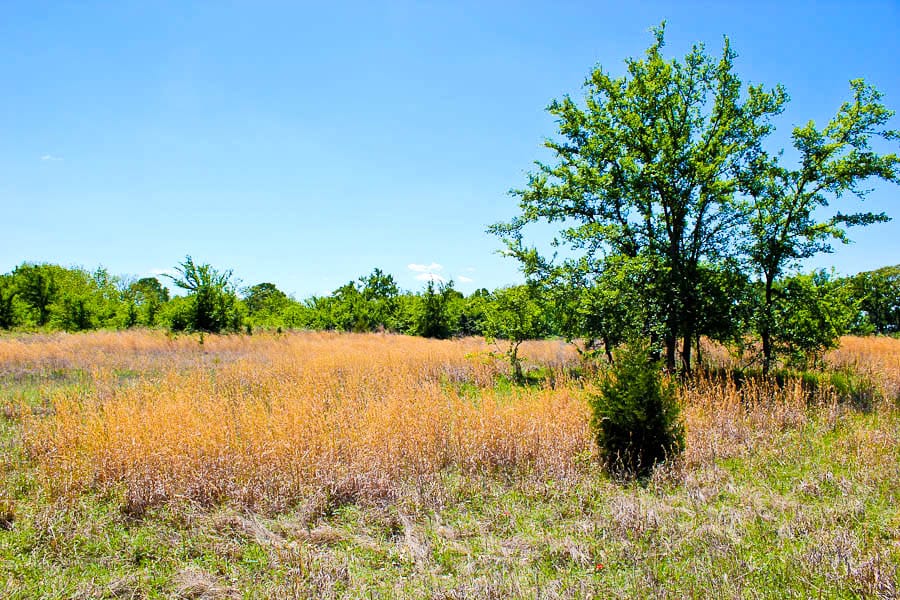 Saddlebrook Ranch Tract 38 photo 3