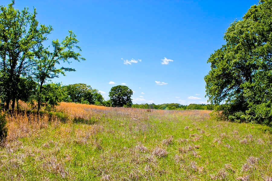Saddlebrook Ranch Tract 38 photo 4