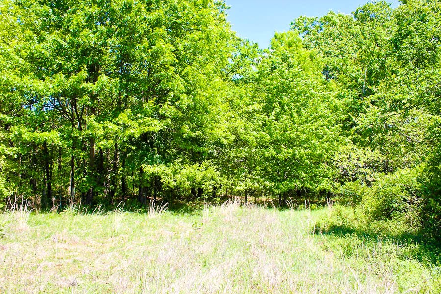 Saddlebrook Ranch Tract 38 photo 5
