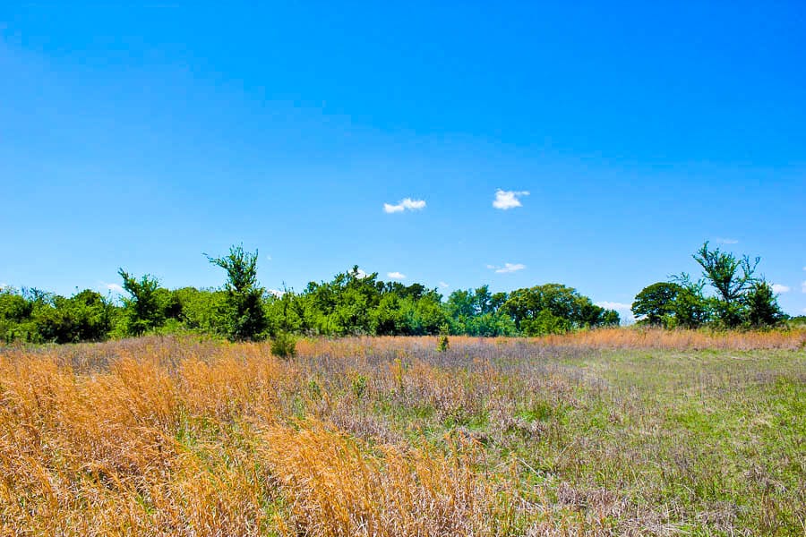 Saddlebrook Ranch Tract 38 photo 6