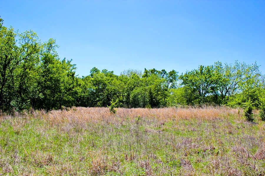 Saddlebrook Ranch Tract 38 photo 7
