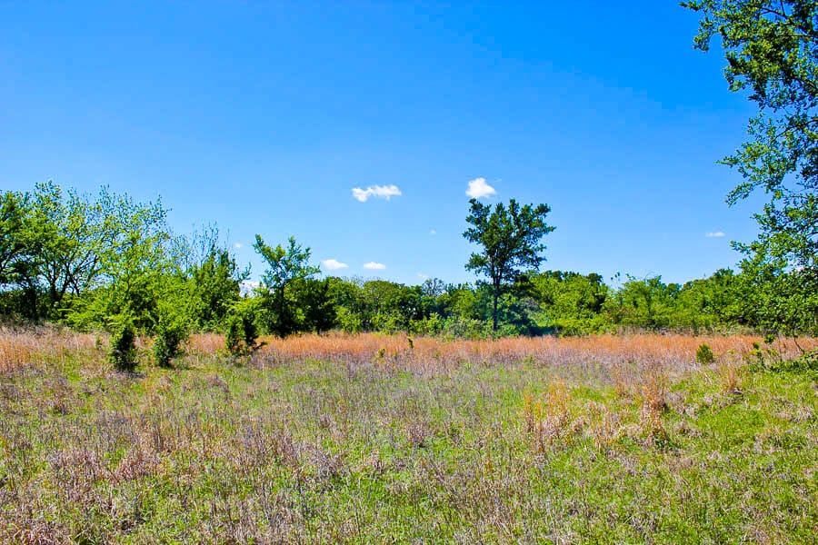Saddlebrook Ranch Tract 38 photo 8