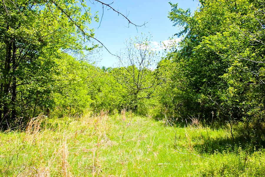 Saddlebrook Ranch Tract 38 photo 9