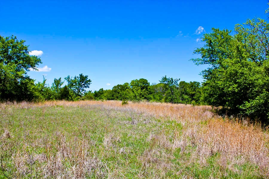 Saddlebrook Ranch Tract 38 photo 10