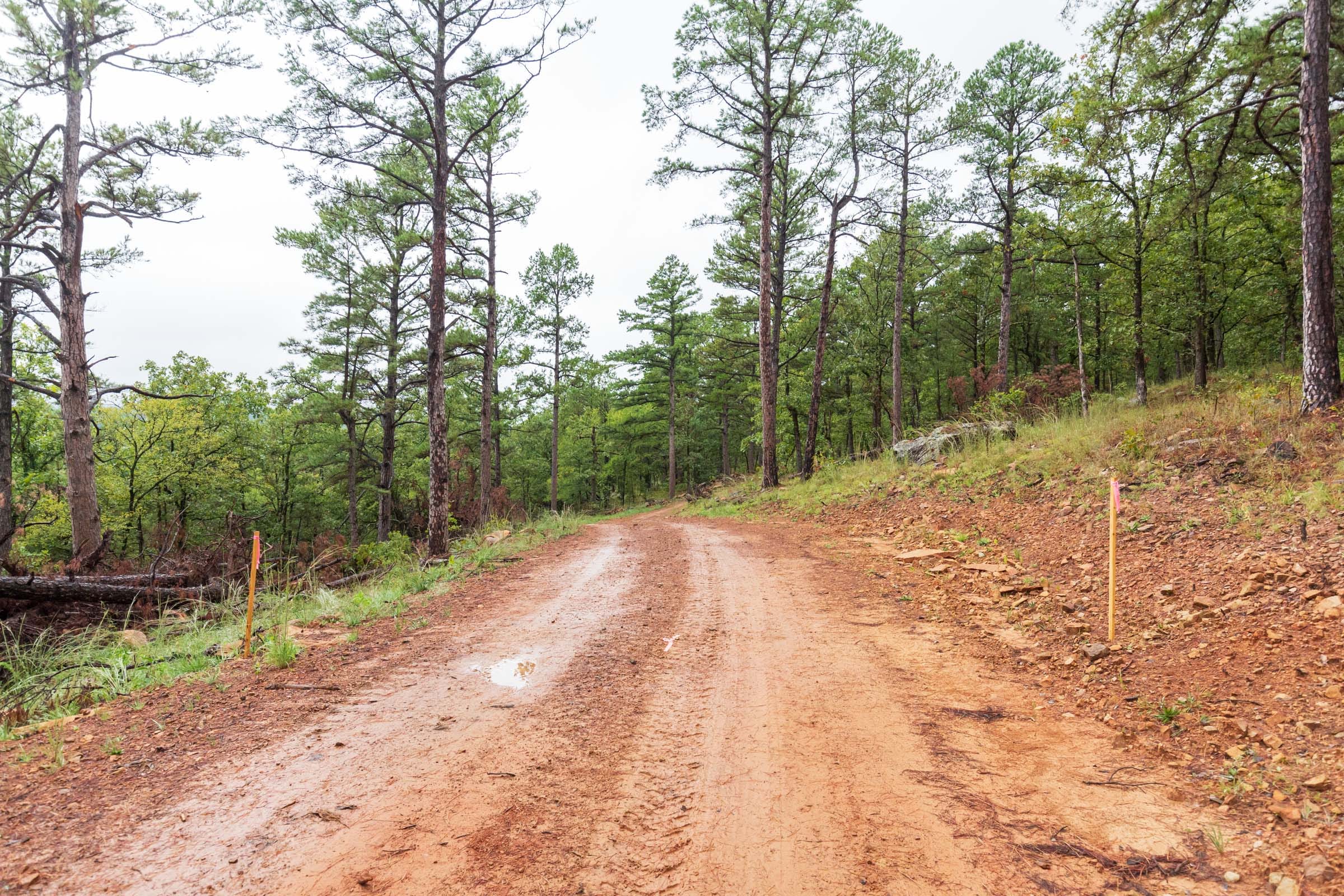 Stone Bridge Phase V Tract 352 photo 17